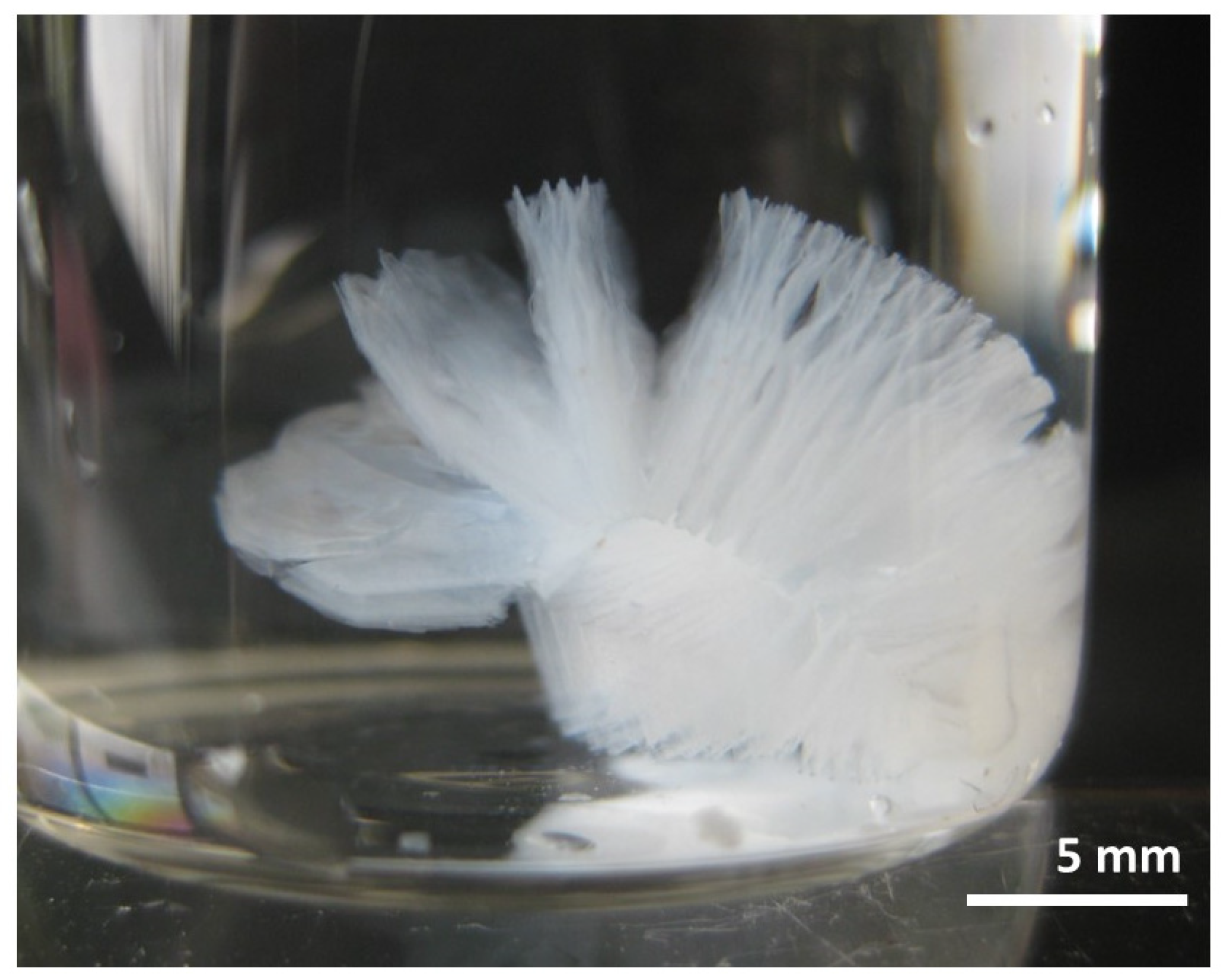 Crystals 14 00326 g002 Crystals 14 00326 g002