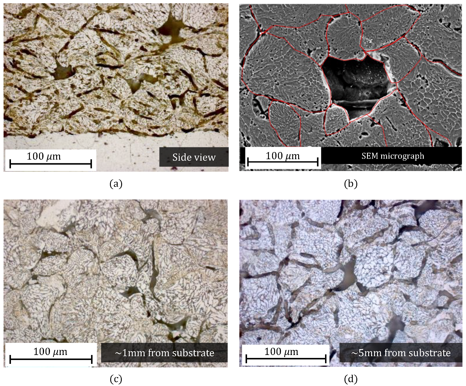 Crystals 14 00329 g003