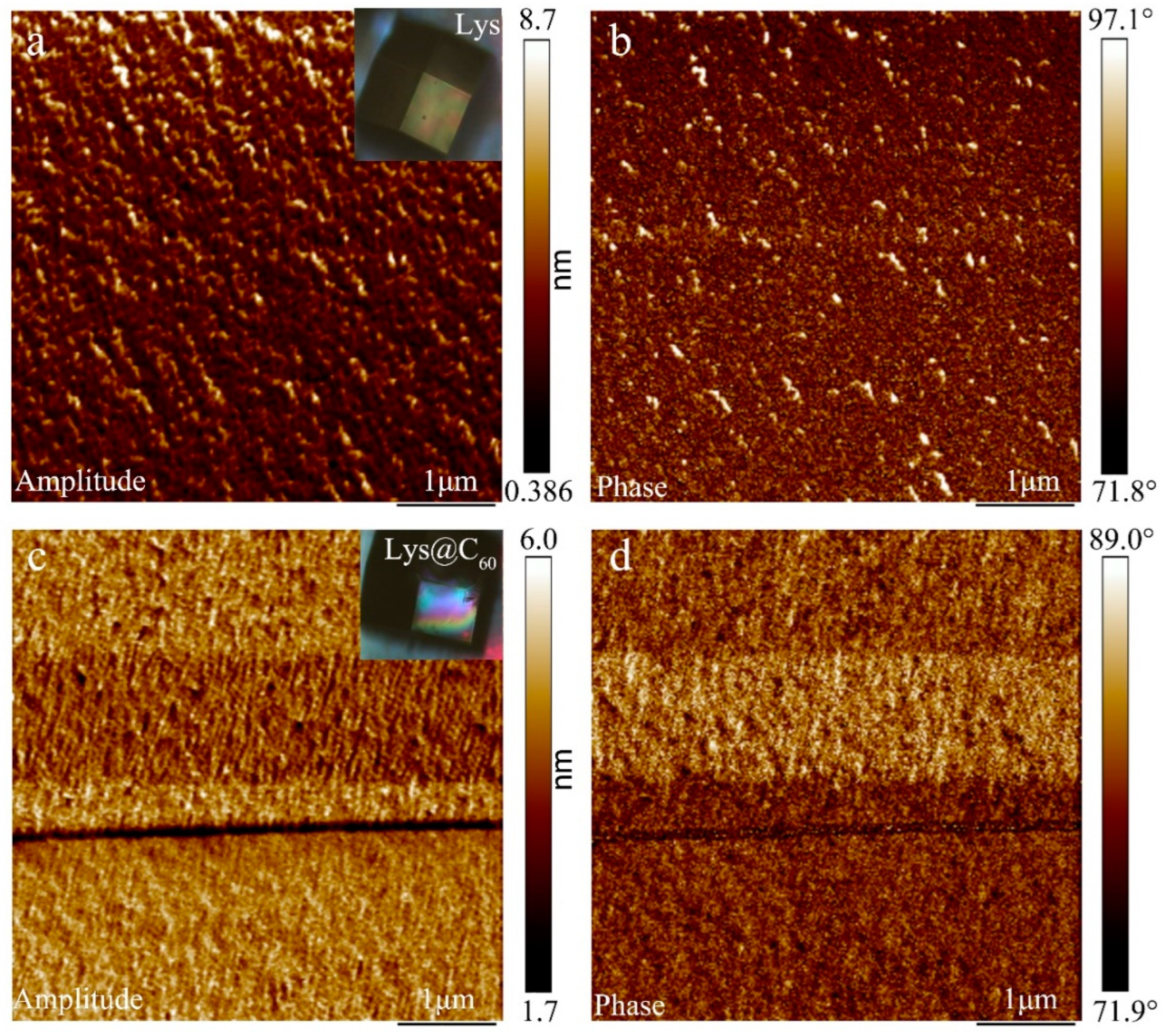 Crystals 14 00339 g002