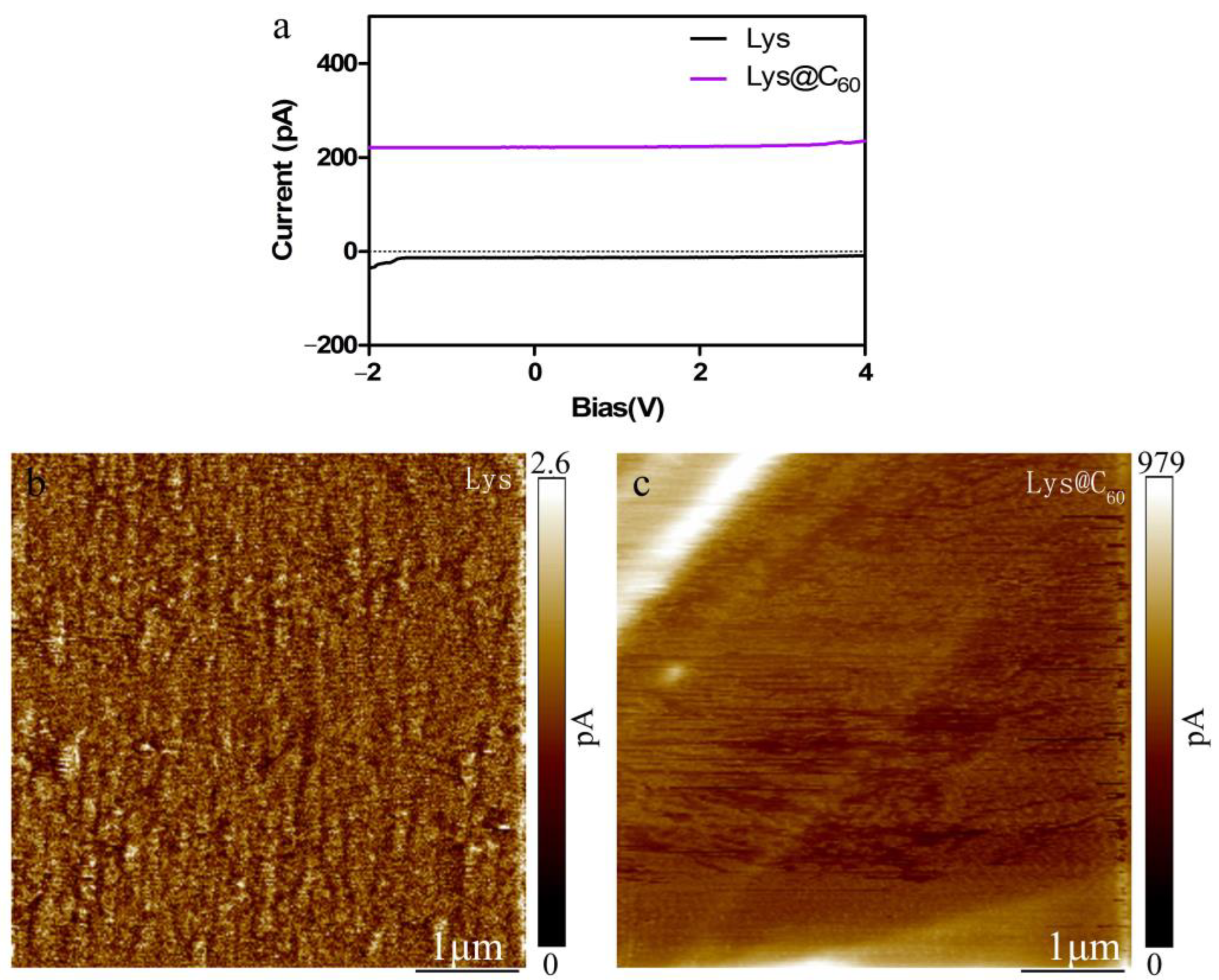 Crystals 14 00339 g004