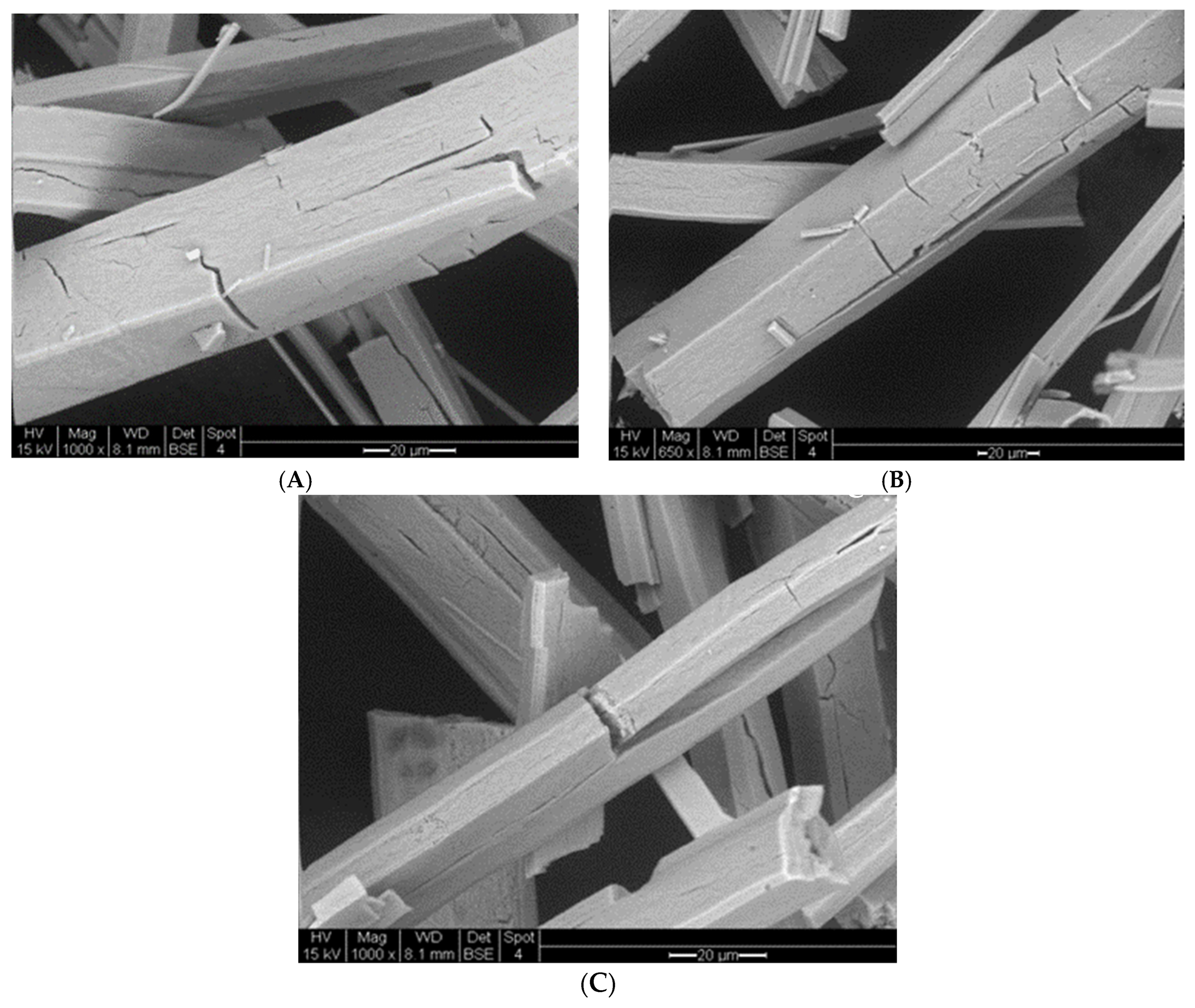 Crystals 14 00347 g008