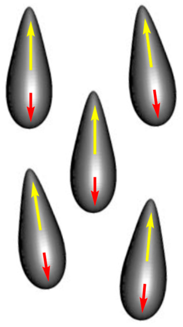 Crystals 14 00350 g012