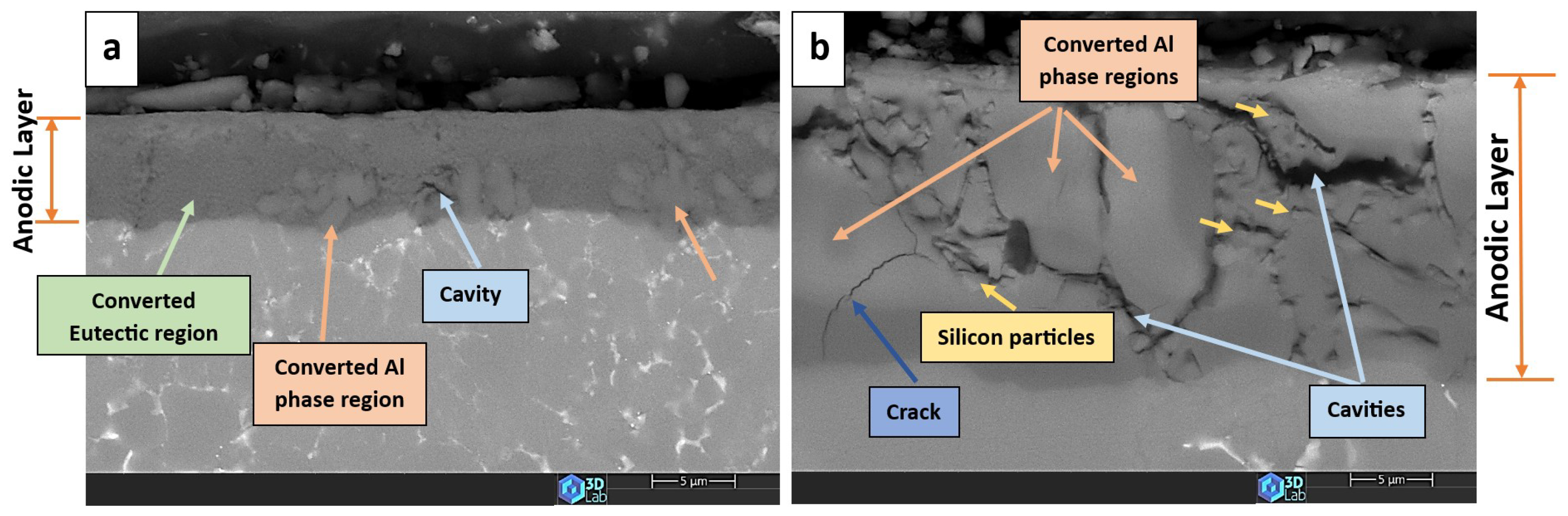 Crystals 14 00352 g009