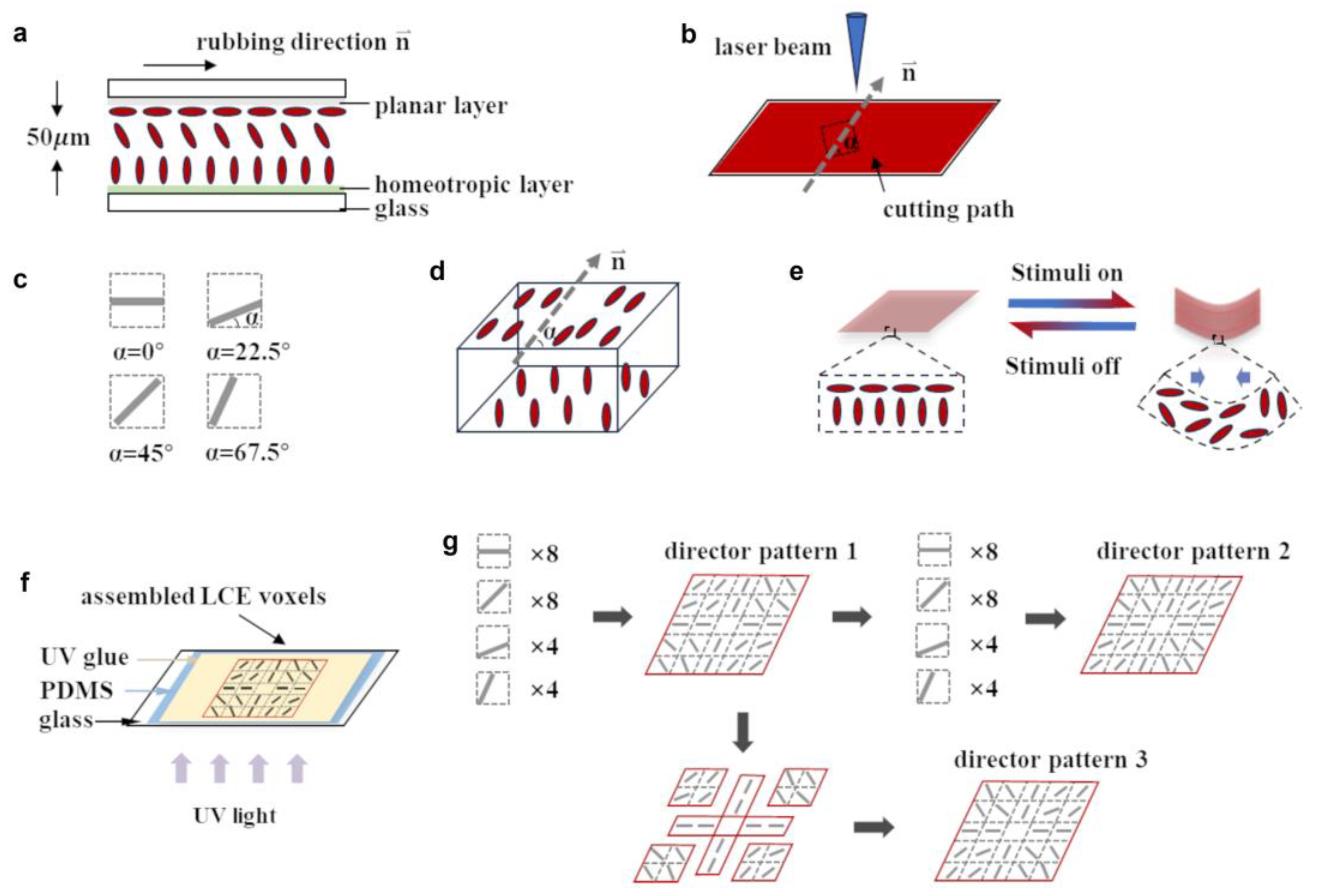 Crystals 14 00357 g001