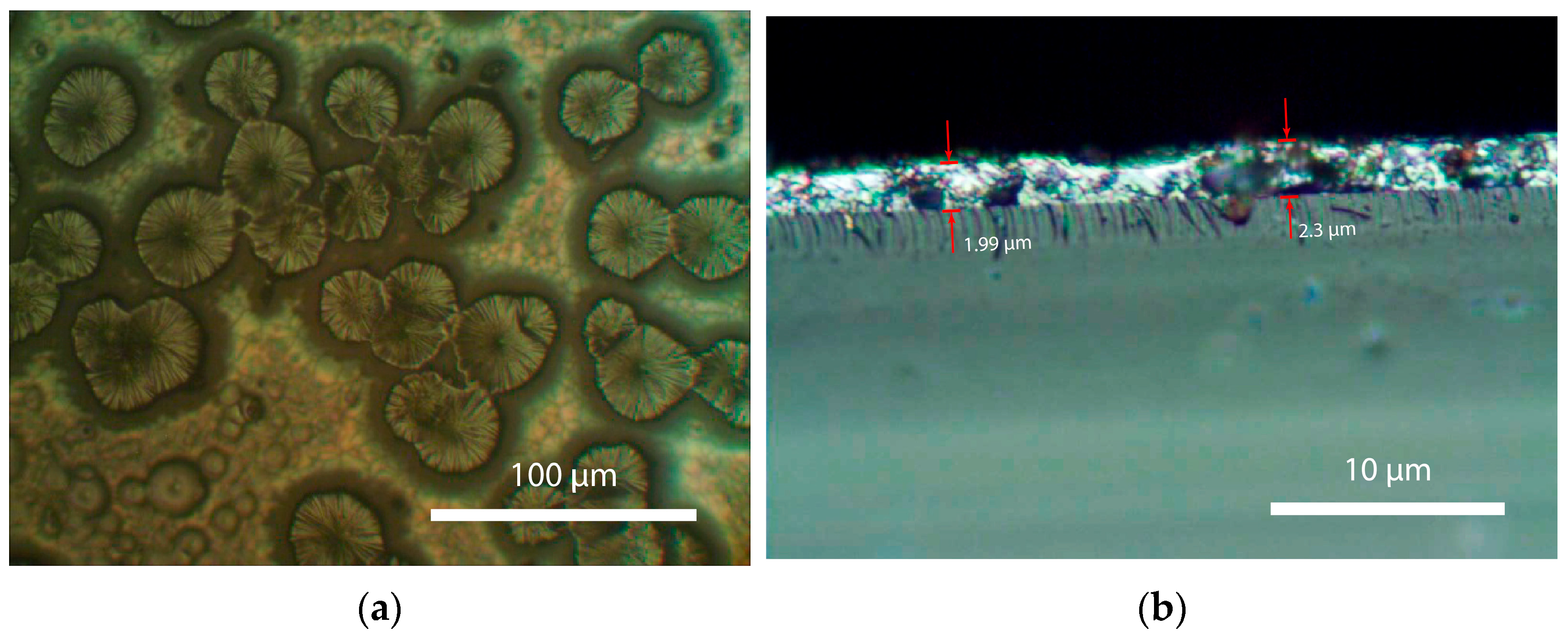 Crystals 14 00376 g003