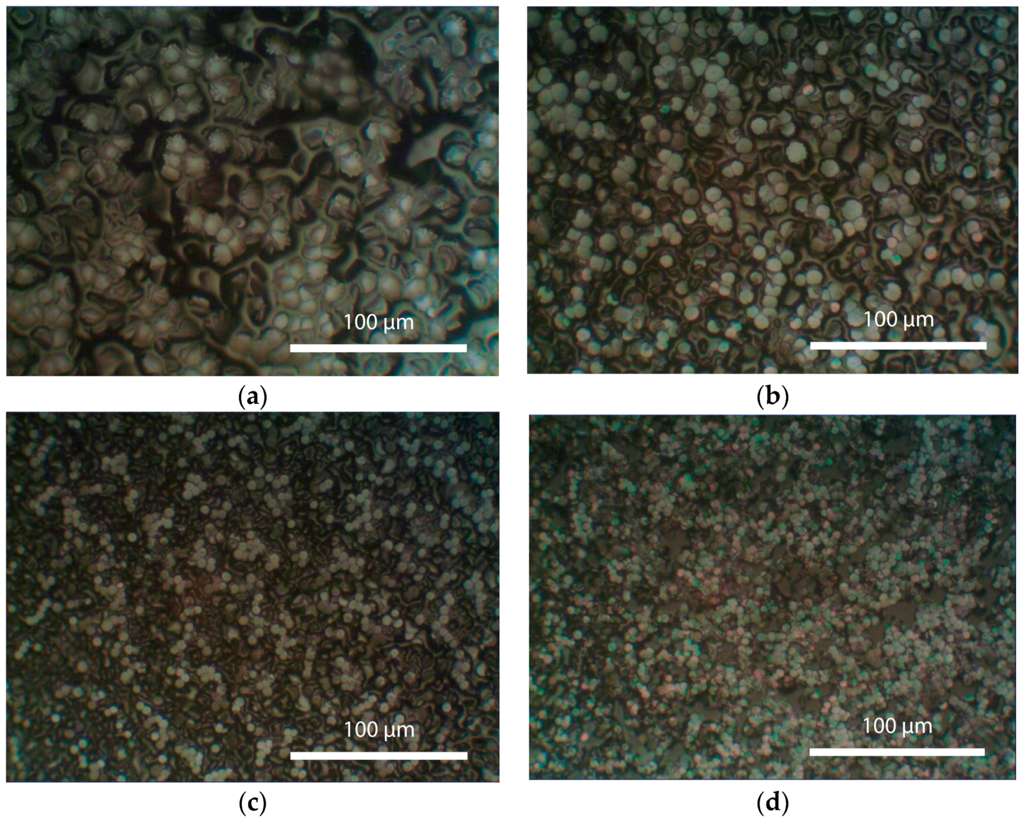 Crystals 14 00376 g005