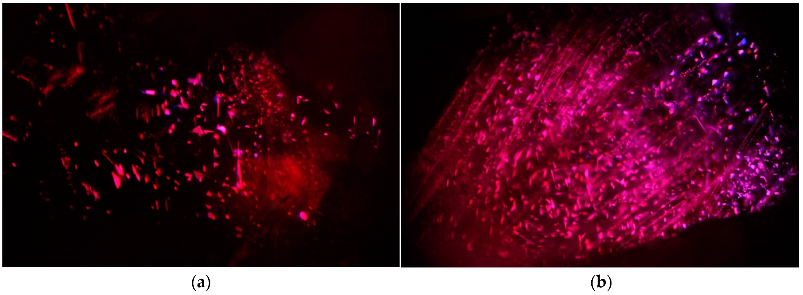 Crystals 14 00383 g010