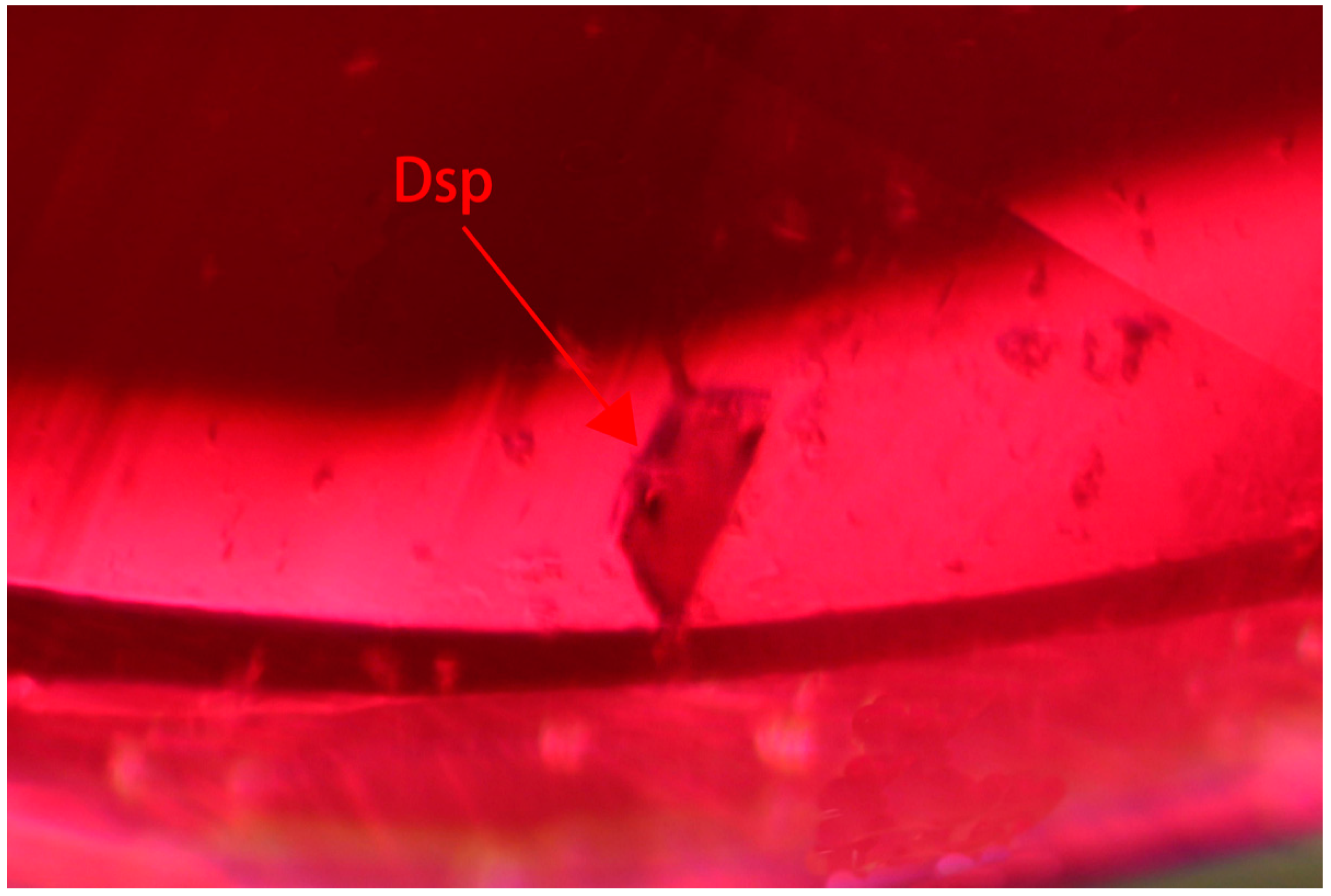 Crystals 14 00383 g011