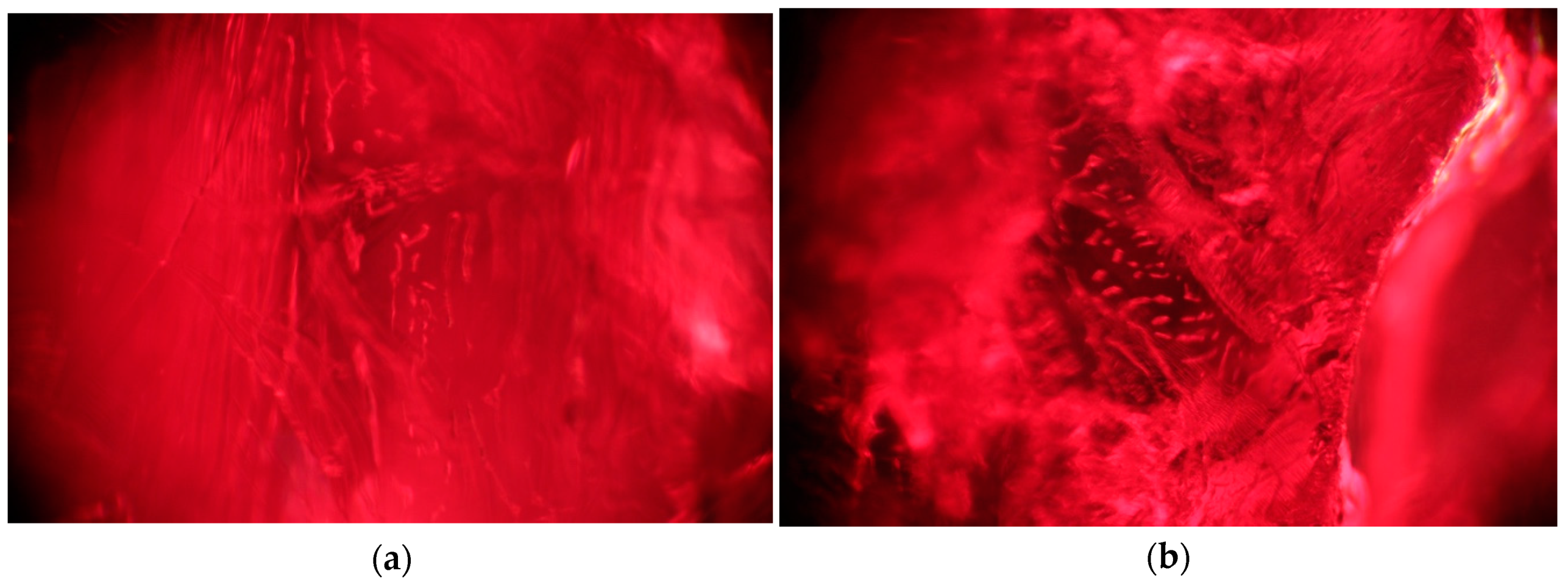 Crystals 14 00383 g015