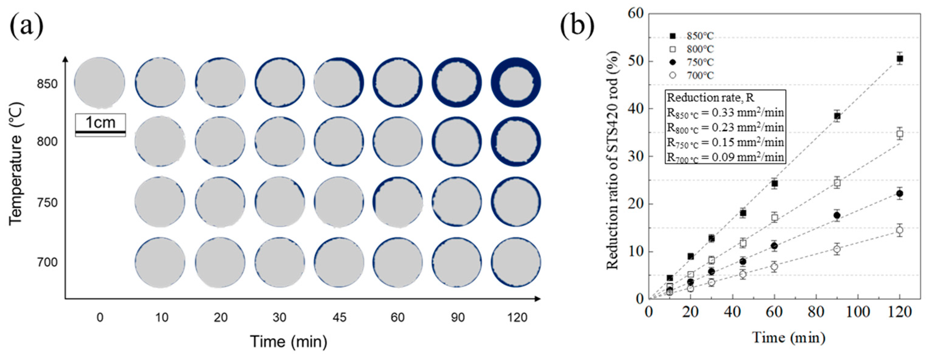 Crystals 14 00387 g008
