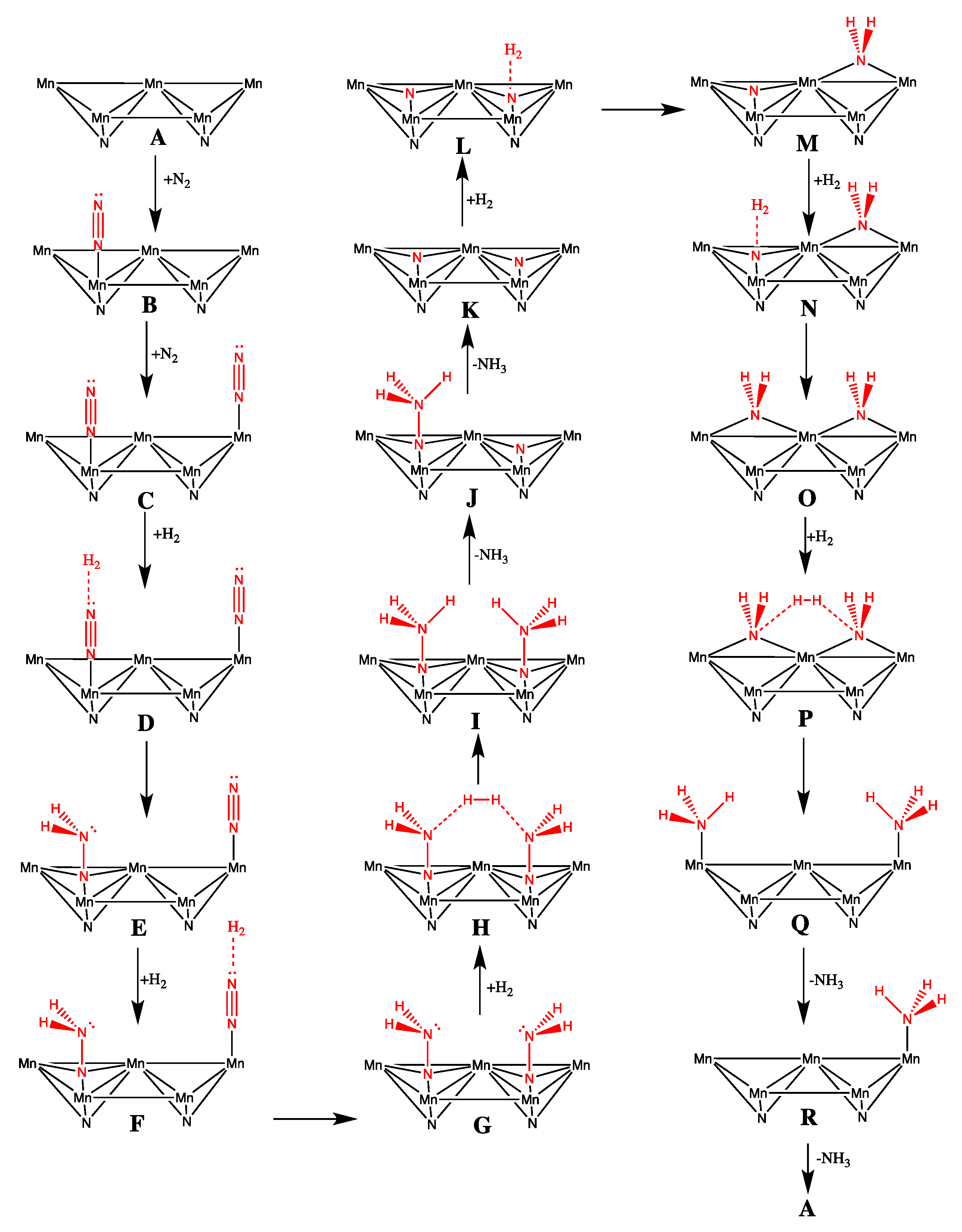Crystals 14 00392 g005