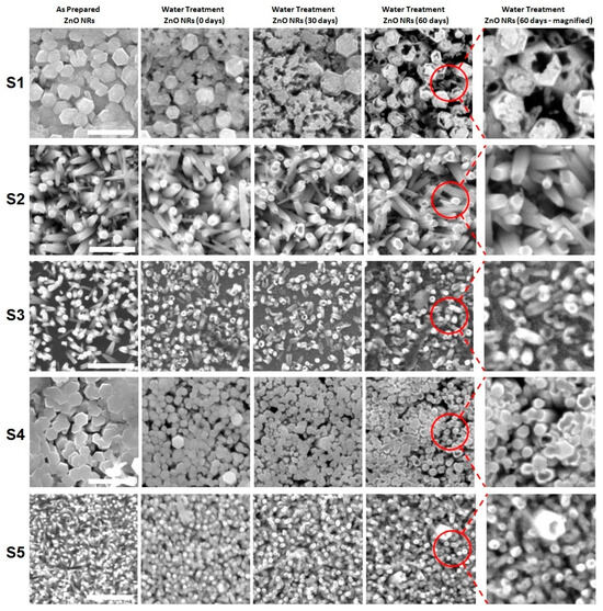 Effect of Precursors Concentrations on the Photocatalysis