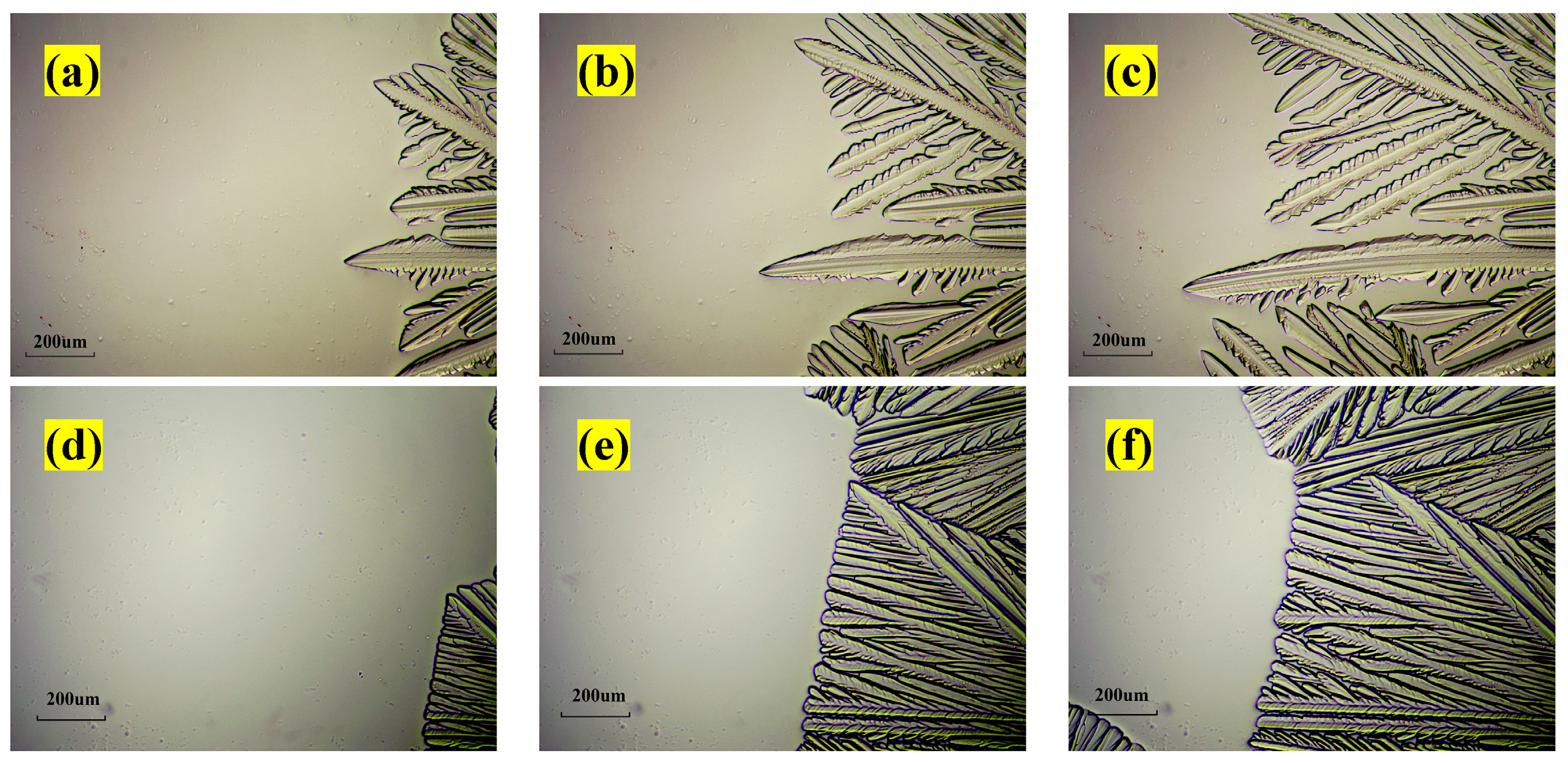 Crystals 14 00408 g004