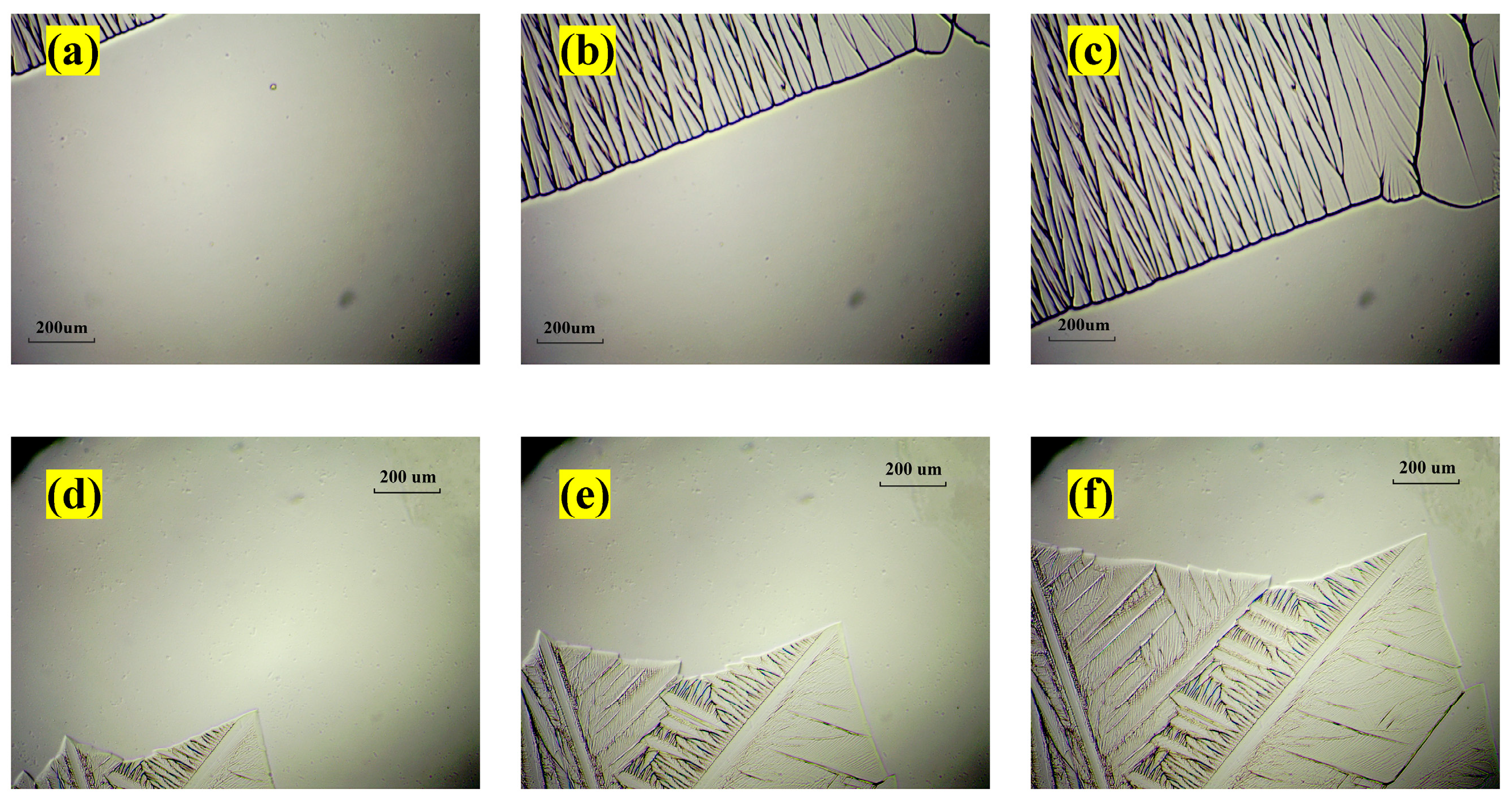 Crystals 14 00408 g005