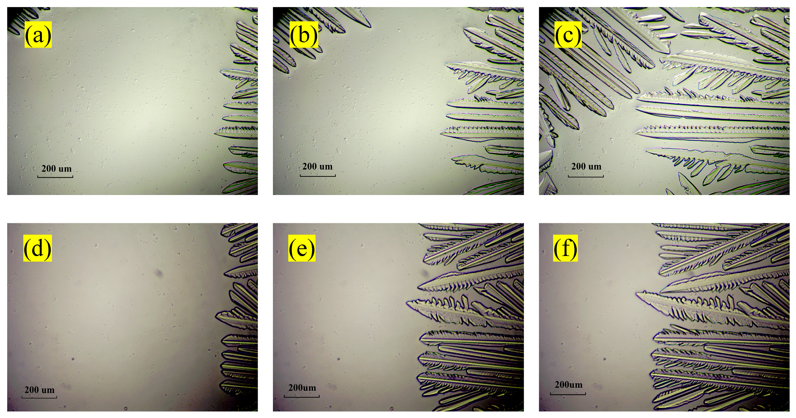 Crystals 14 00408 g006