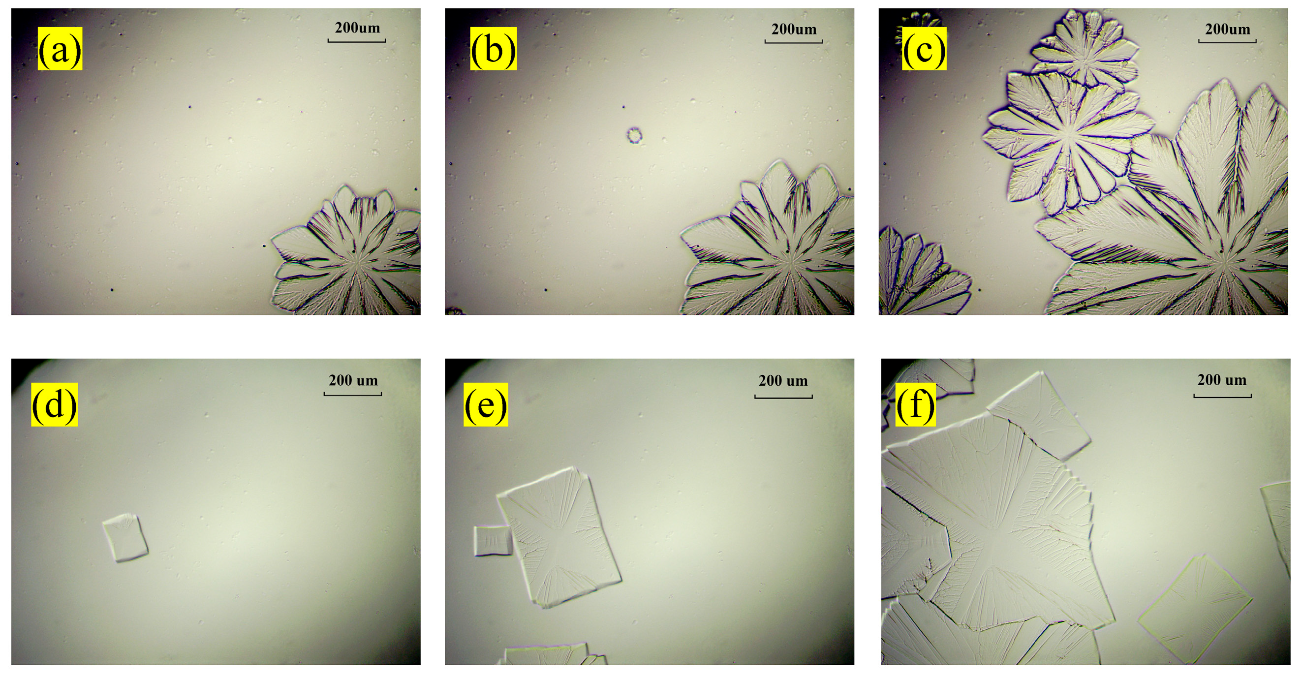 Crystals 14 00408 g007