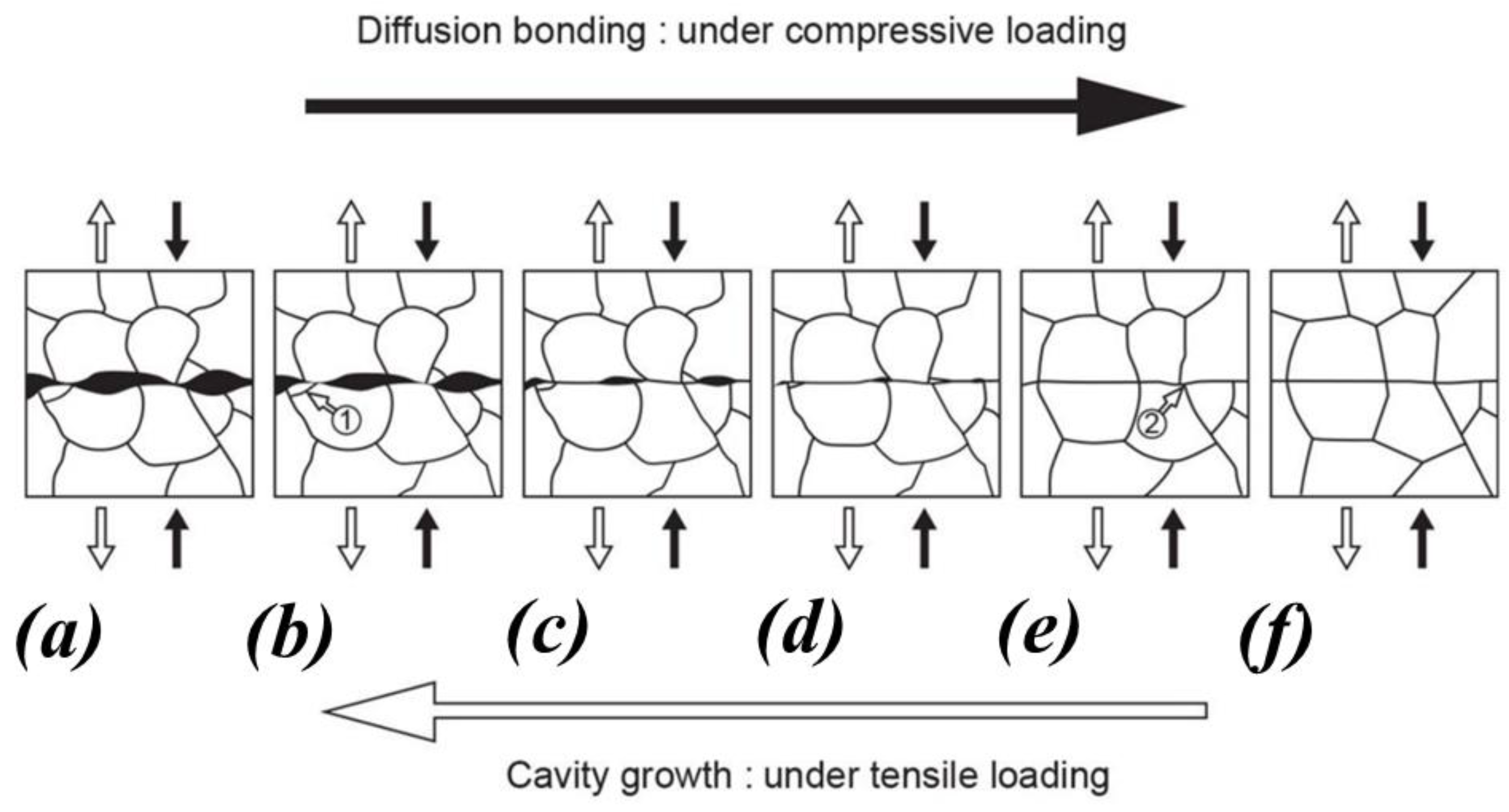 Crystals 14 00412 g006