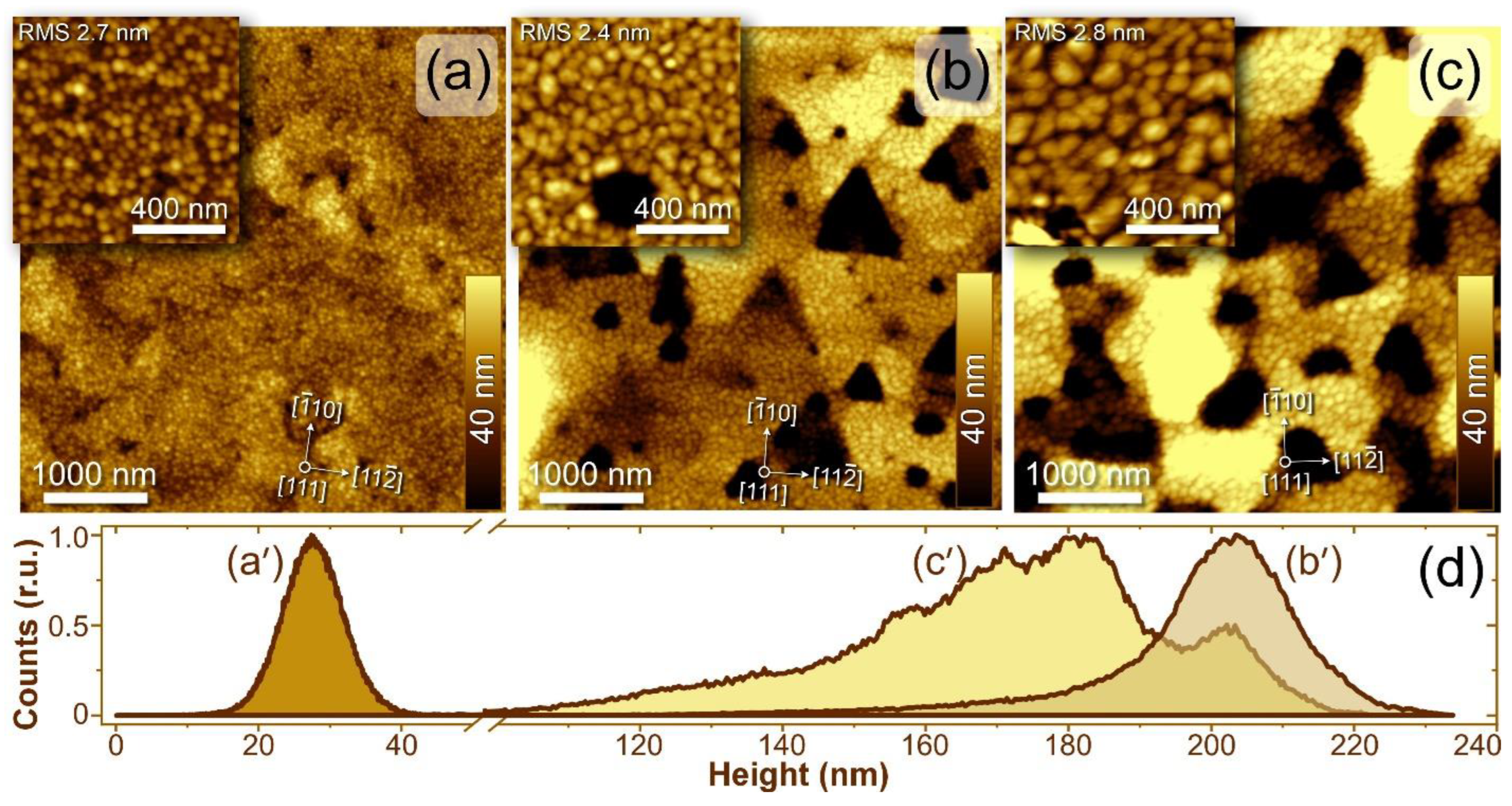 Crystals 14 00414 g007 Crystals 14 00414 g007