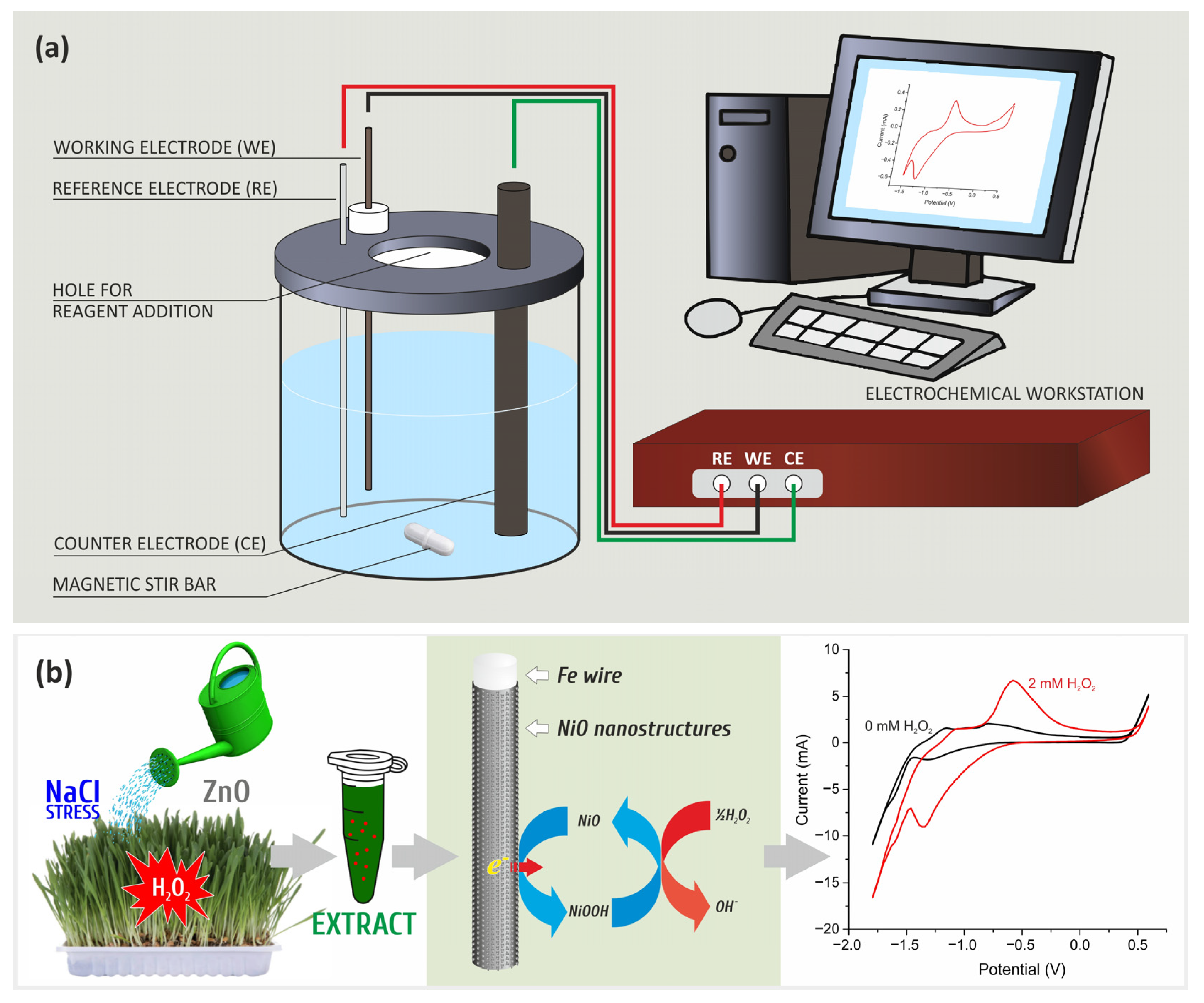 Crystals 14 00423 g003