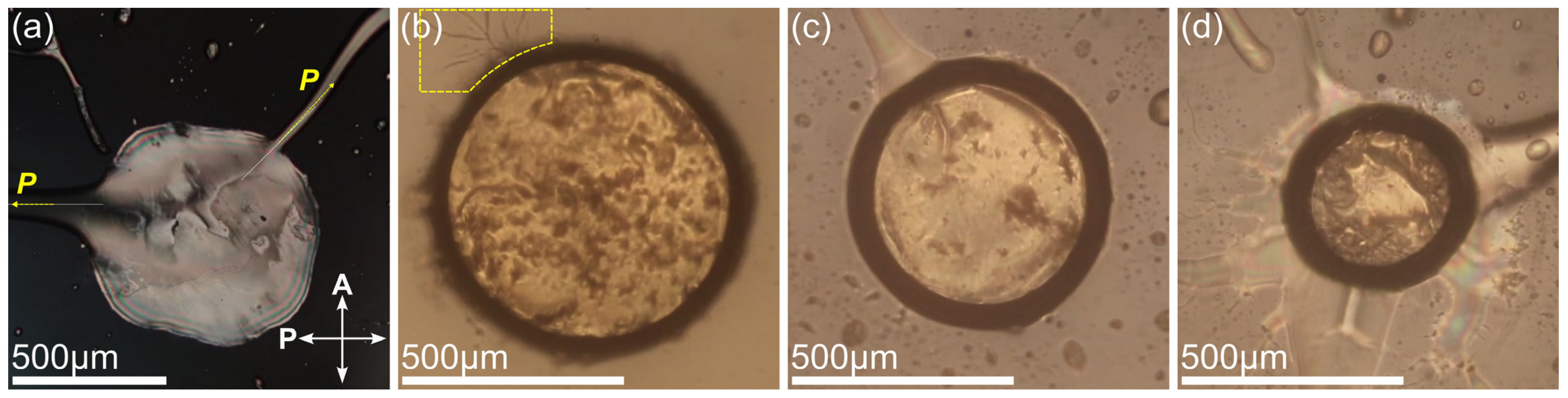 Crystals 14 00425 g004