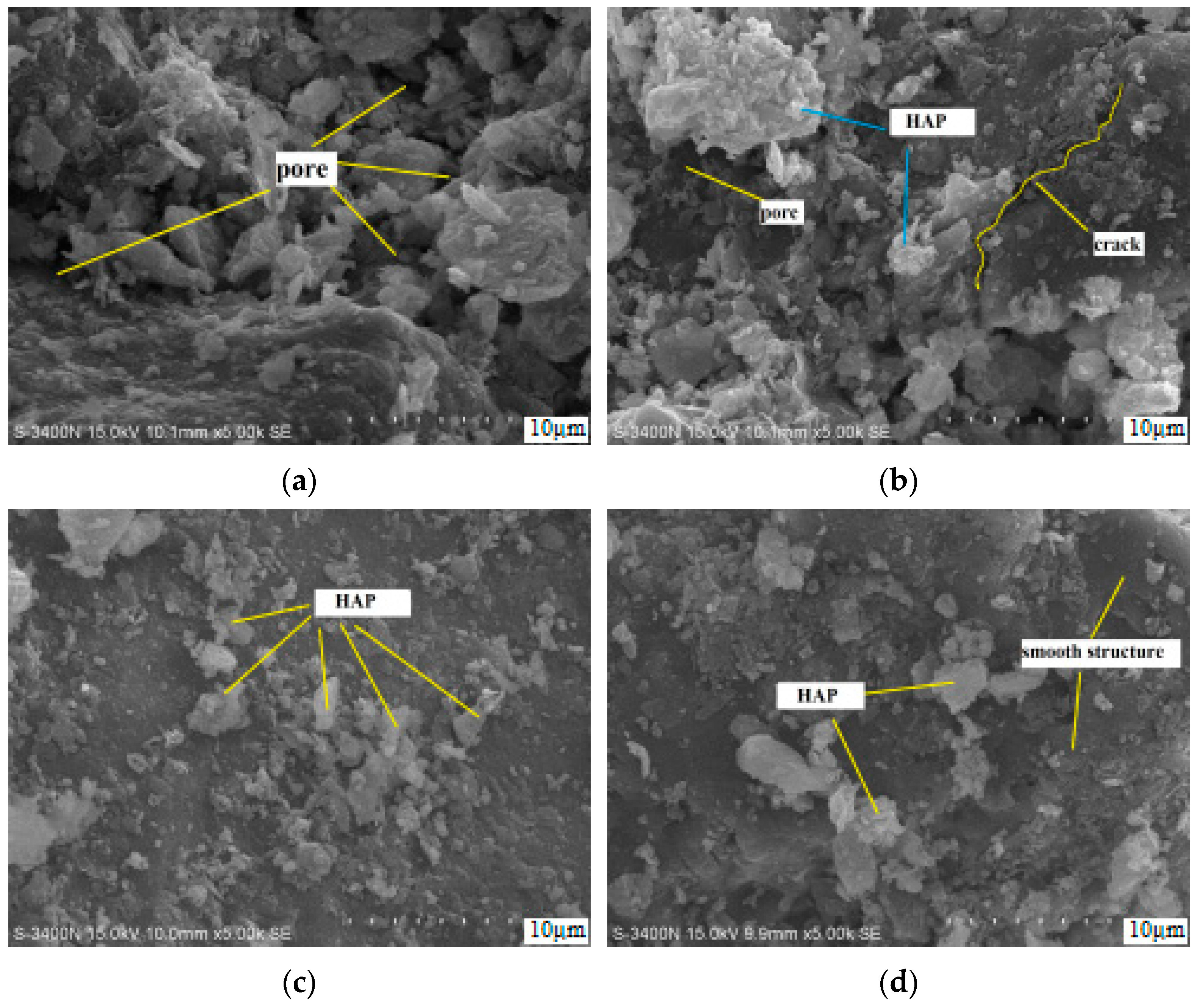 Crystals 14 00426 g008