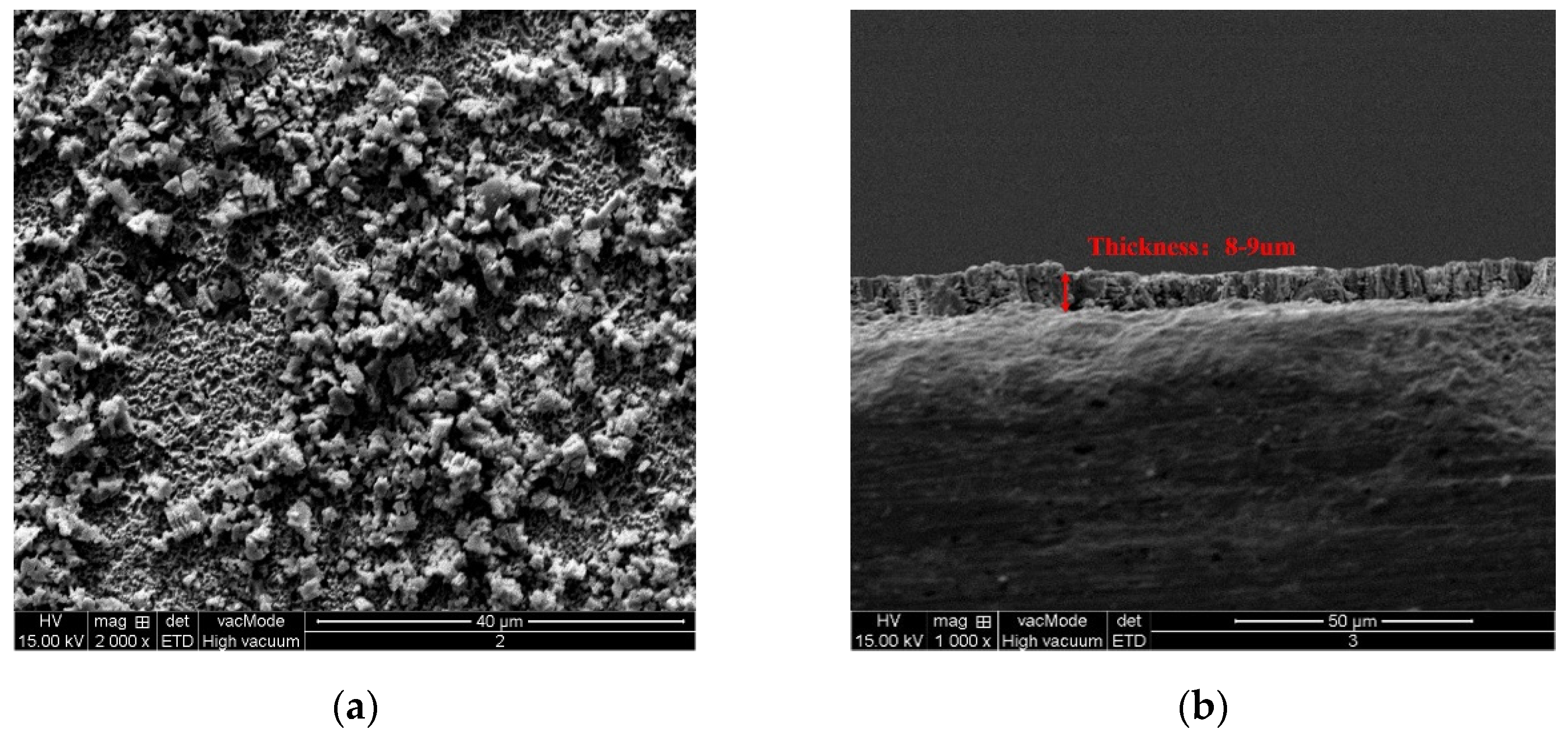 Crystals 14 00427 g007