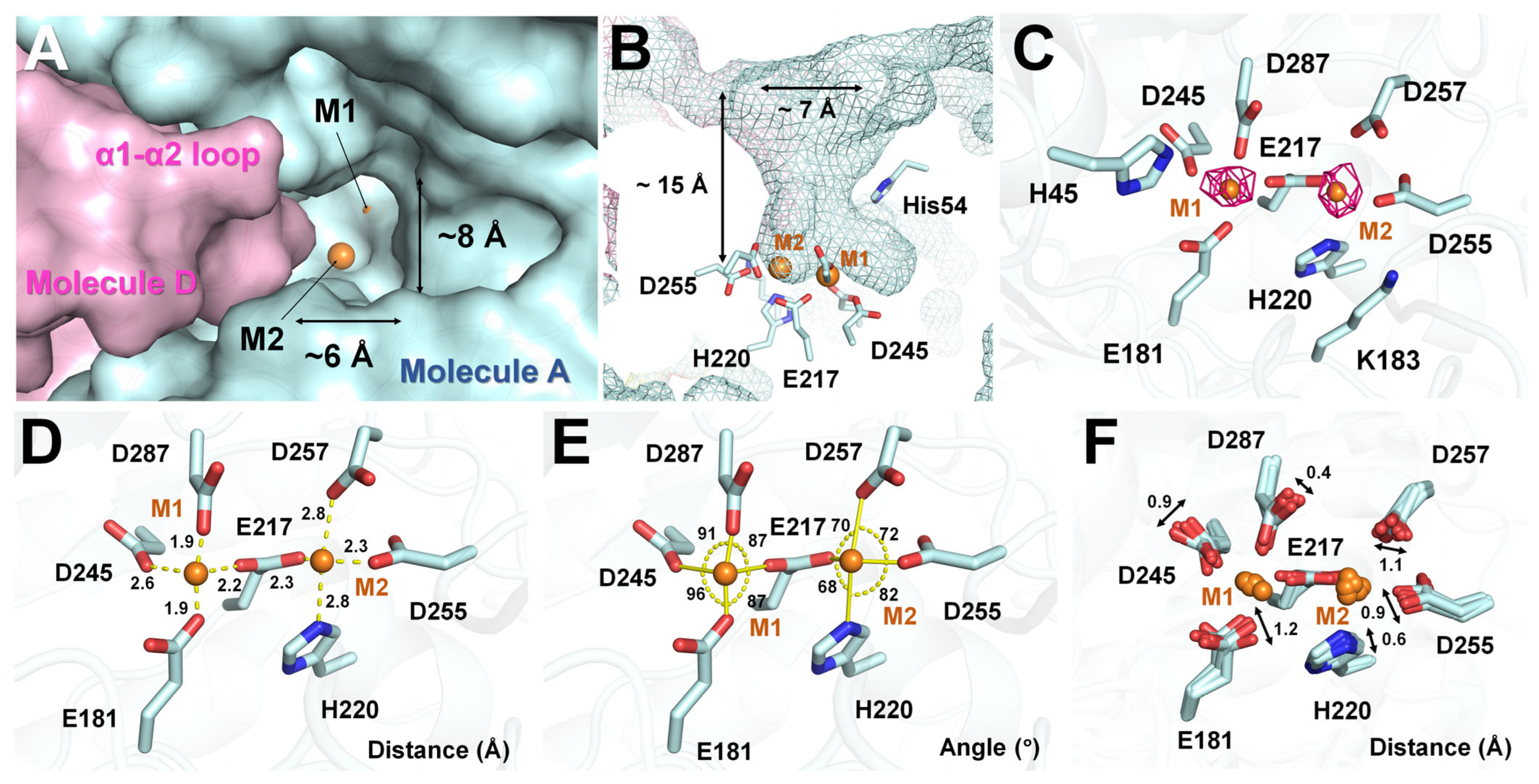 Crystals 14 00446 g003