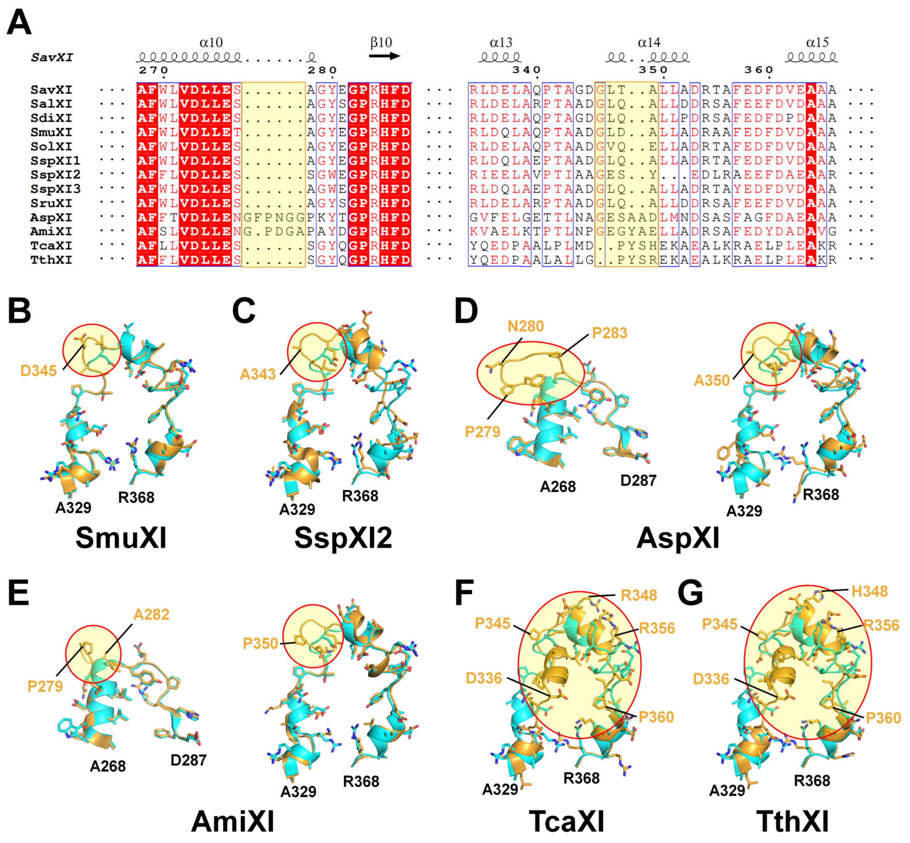 Crystals 14 00446 g004