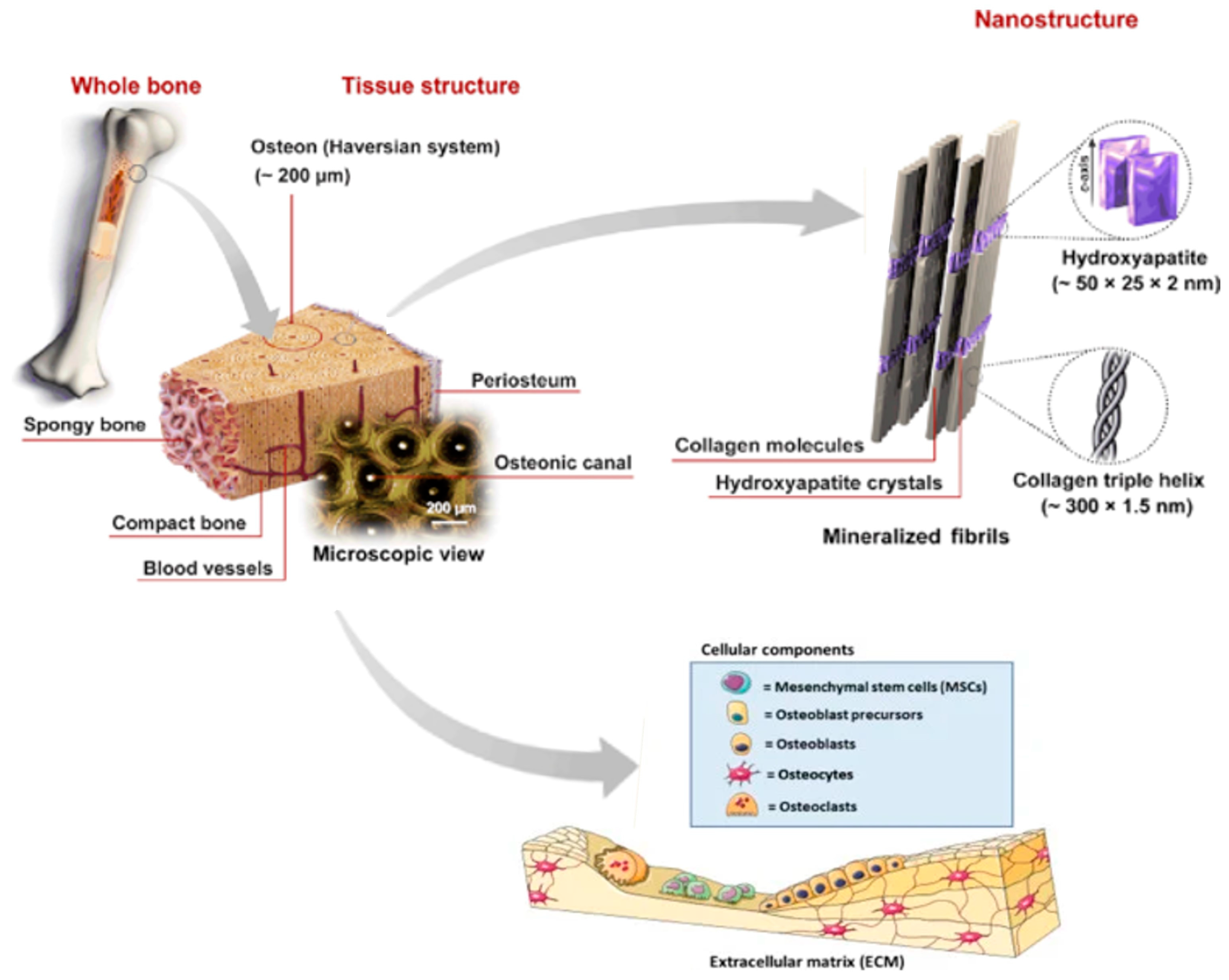 Crystals 14 00448 g001 Crystals 14 00448 g001