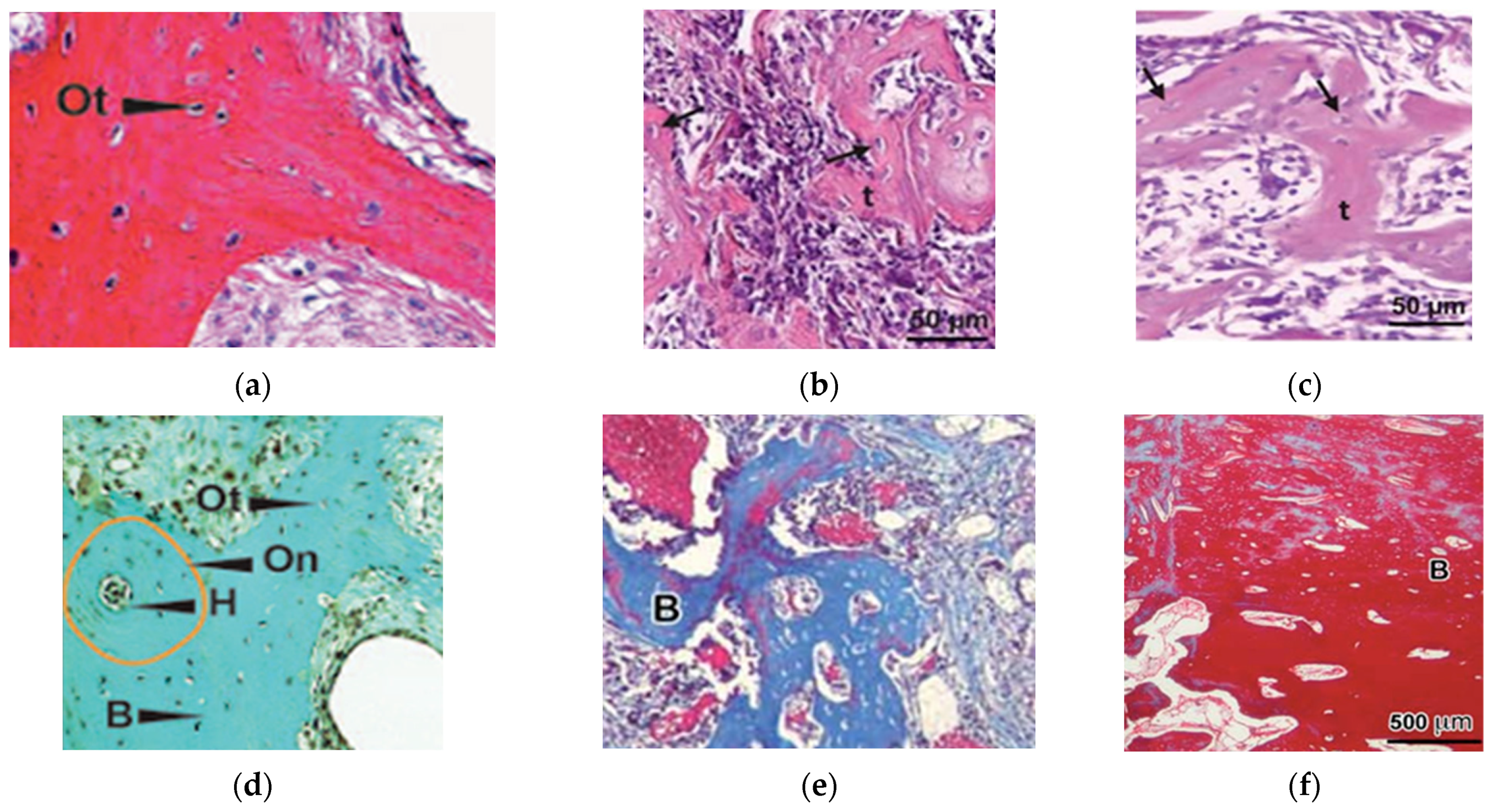 Crystals 14 00448 g002 Crystals 14 00448 g002