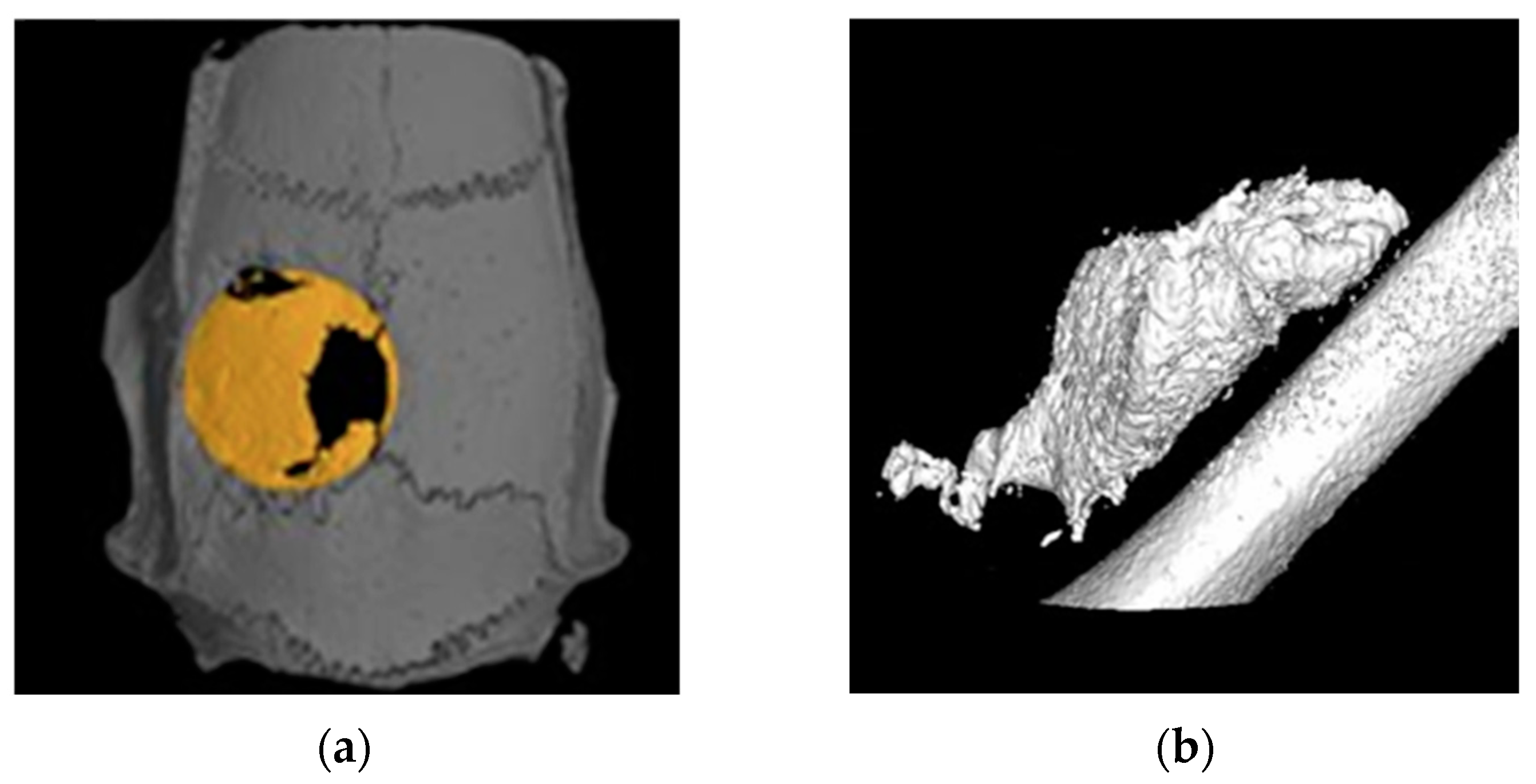 Crystals 14 00448 g003 Crystals 14 00448 g003