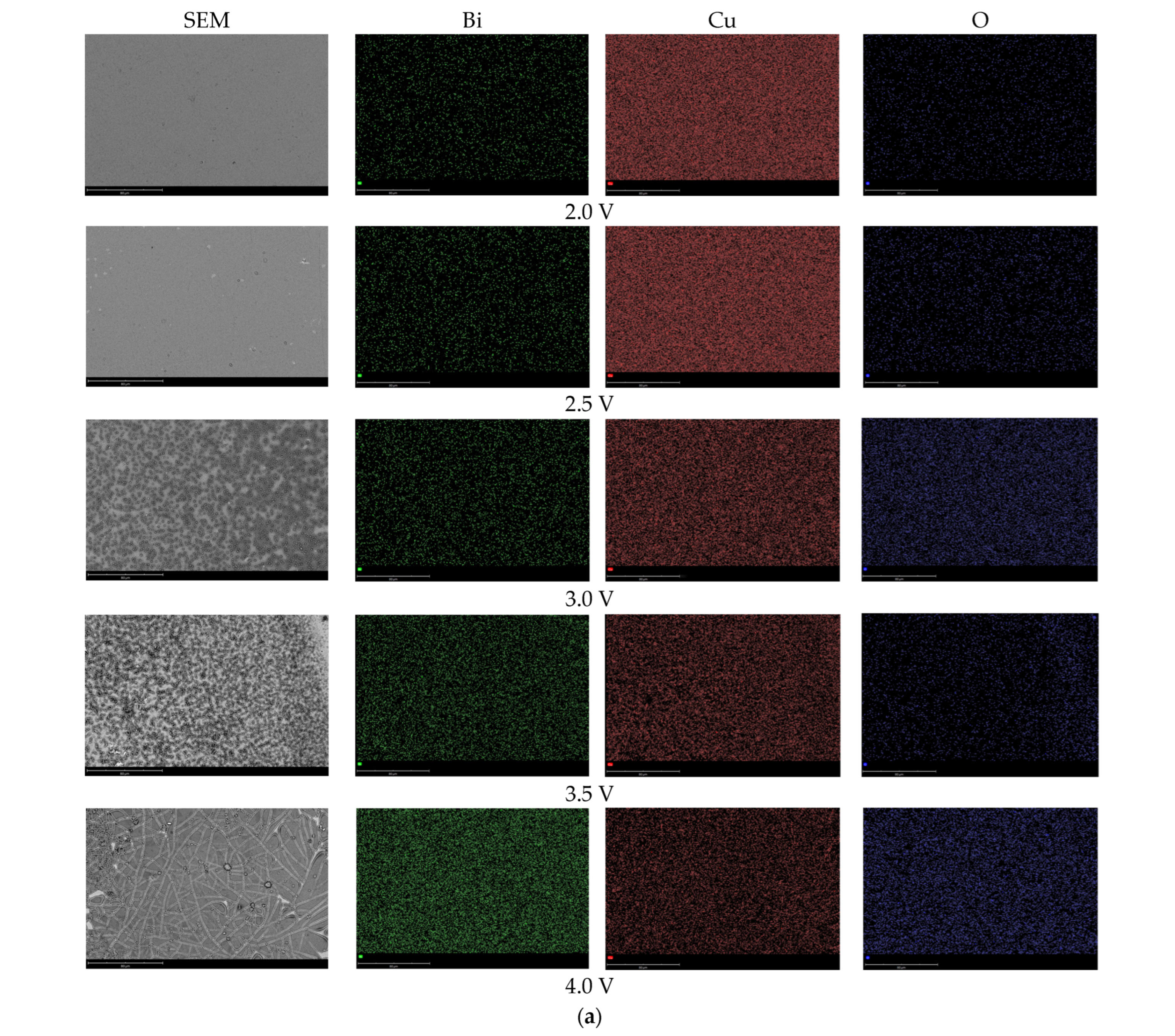 Crystals 14 00453 g003a