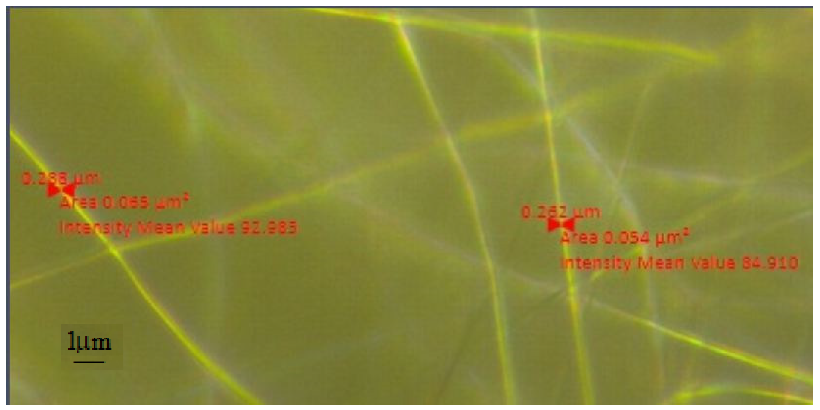 Crystals 14 00454 g002 Crystals 14 00454 g002