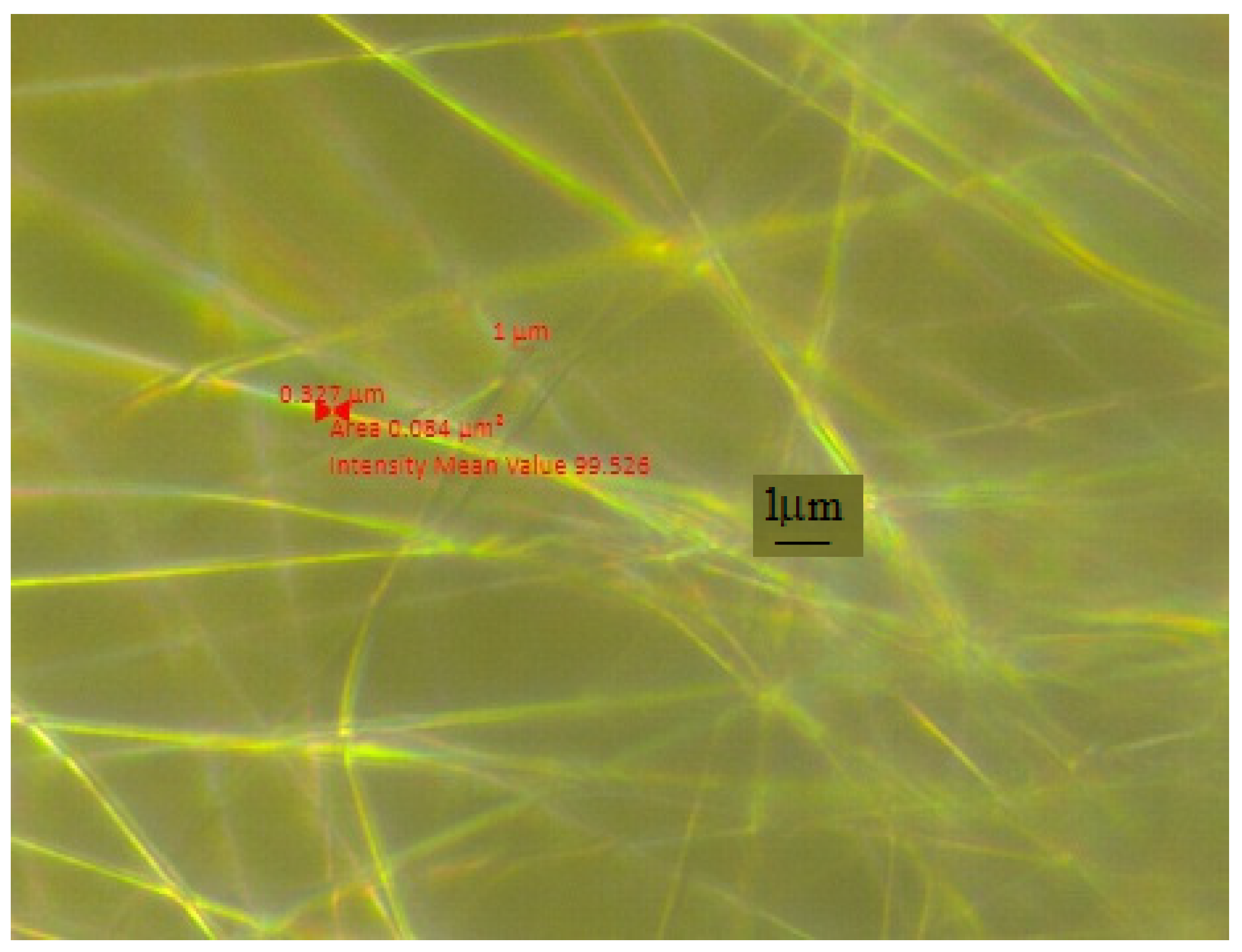 Crystals 14 00454 g003 Crystals 14 00454 g003