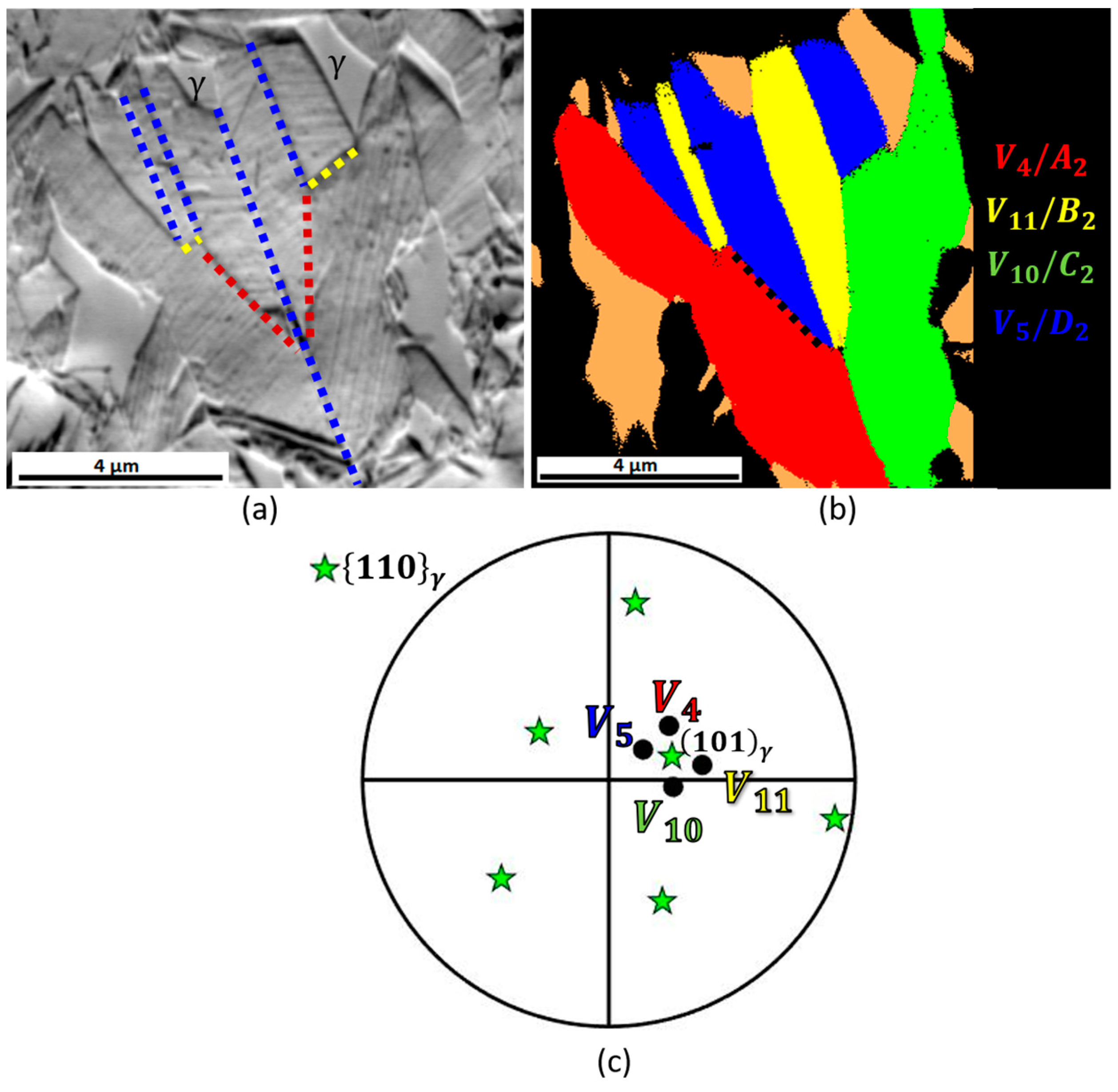 Crystals 14 00461 g006