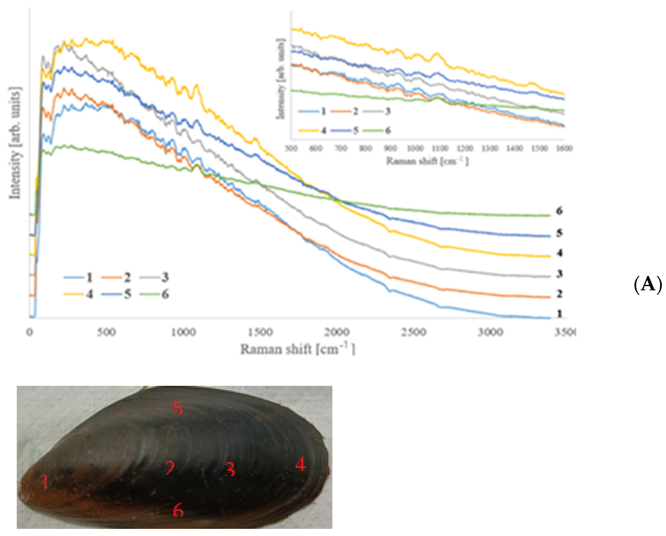 Crystals 14 00464 g005a