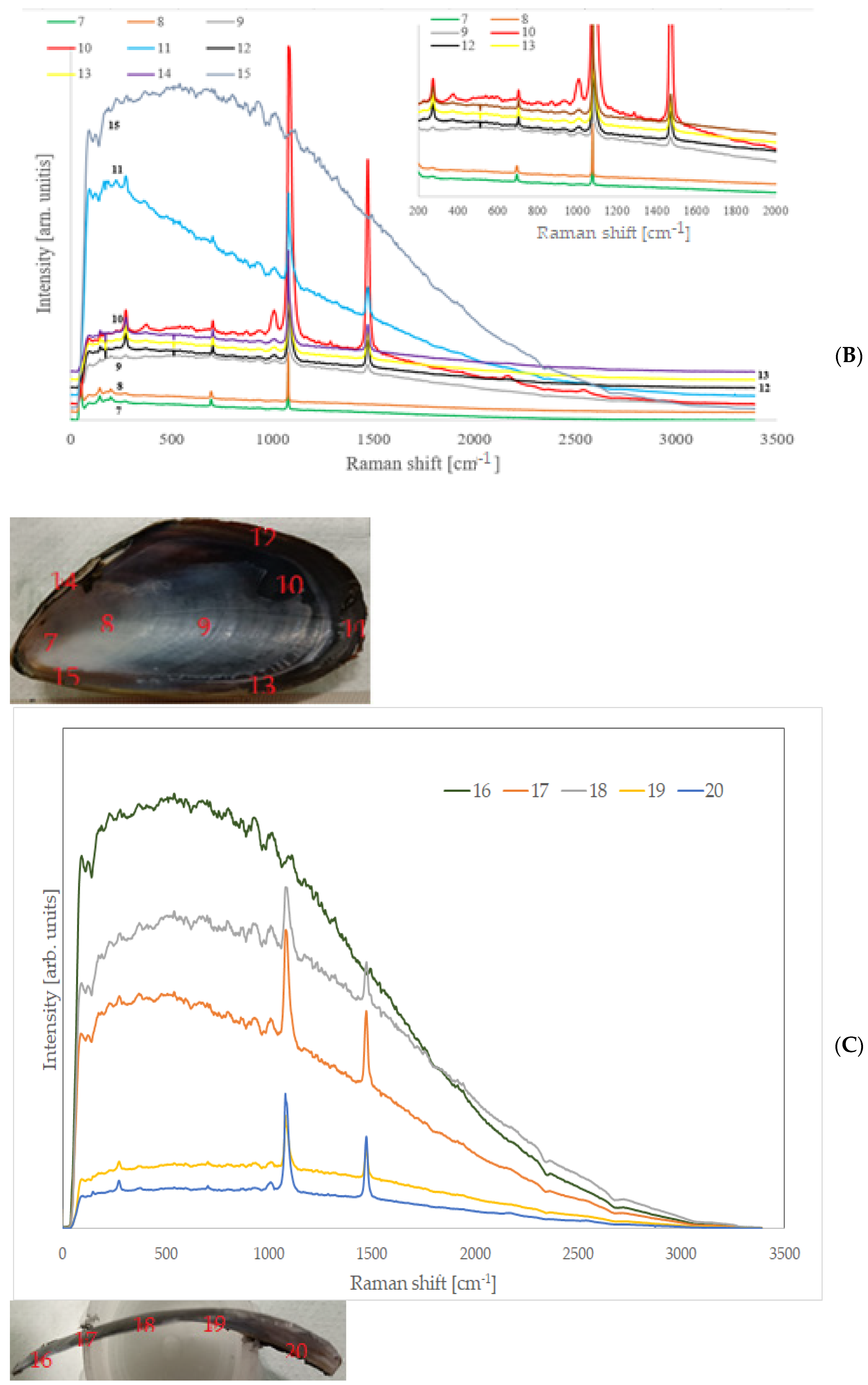 Crystals 14 00464 g005b