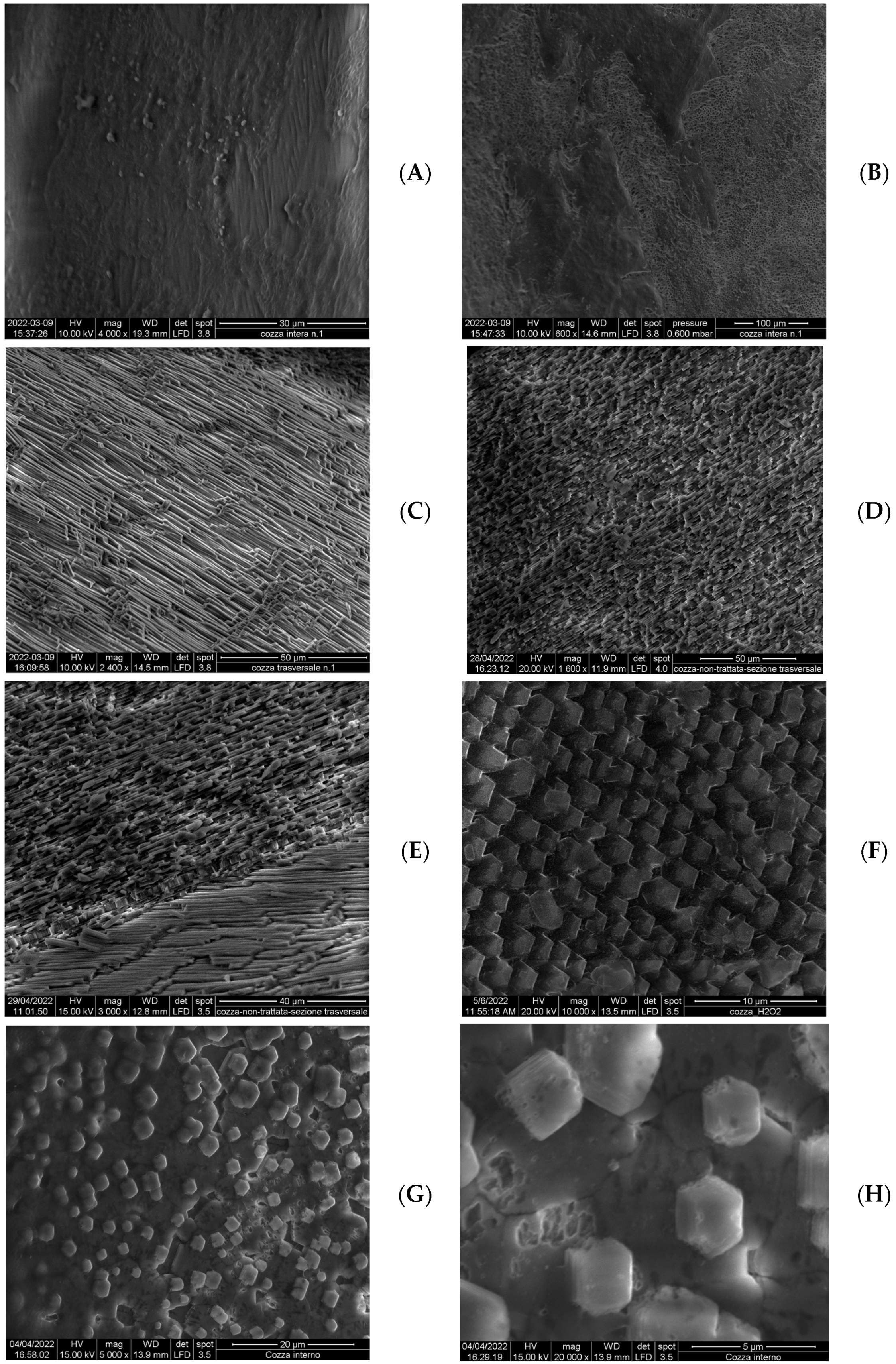 Crystals 14 00464 g008