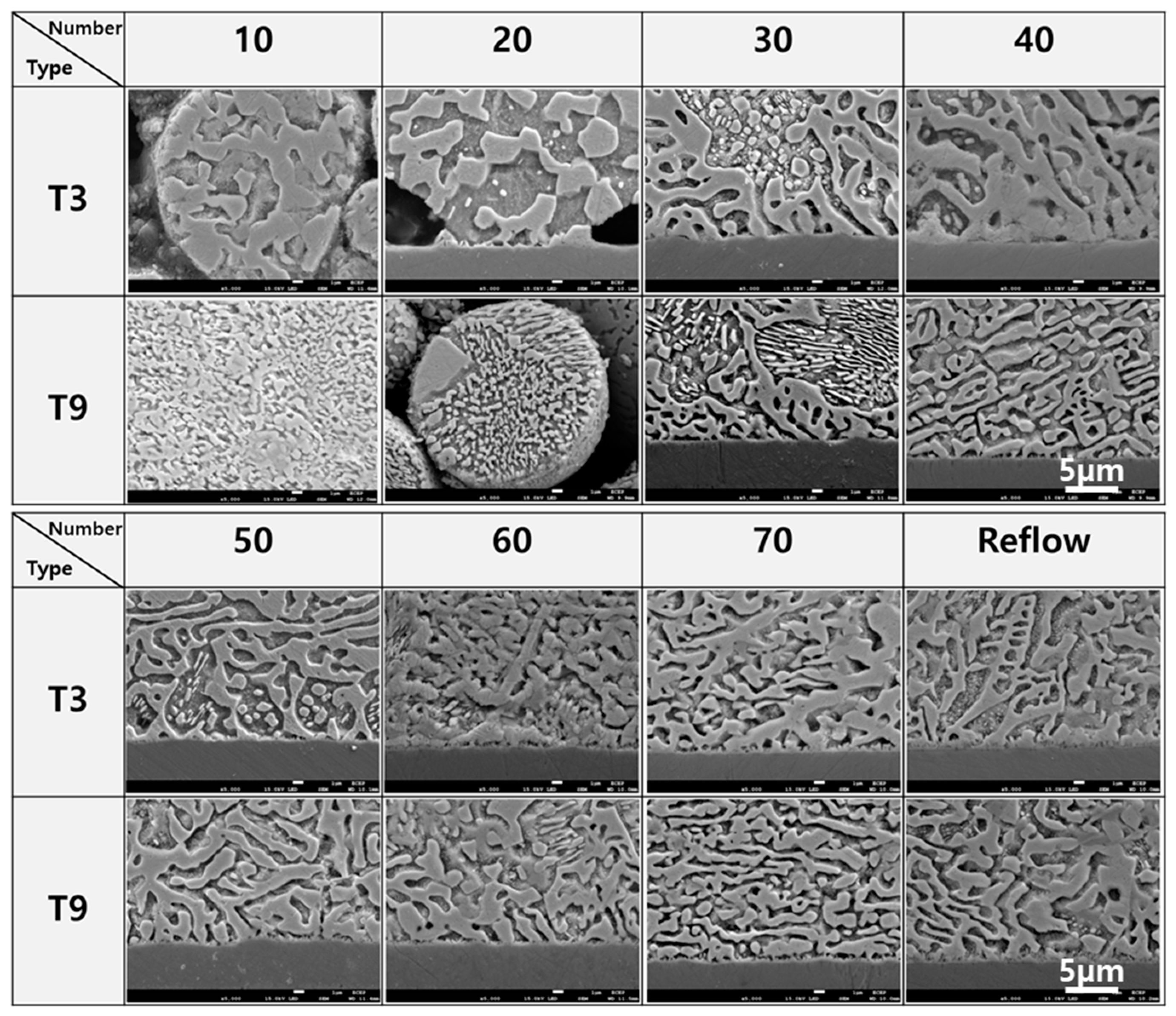Crystals 14 00465 g004 Crystals 14 00465 g004