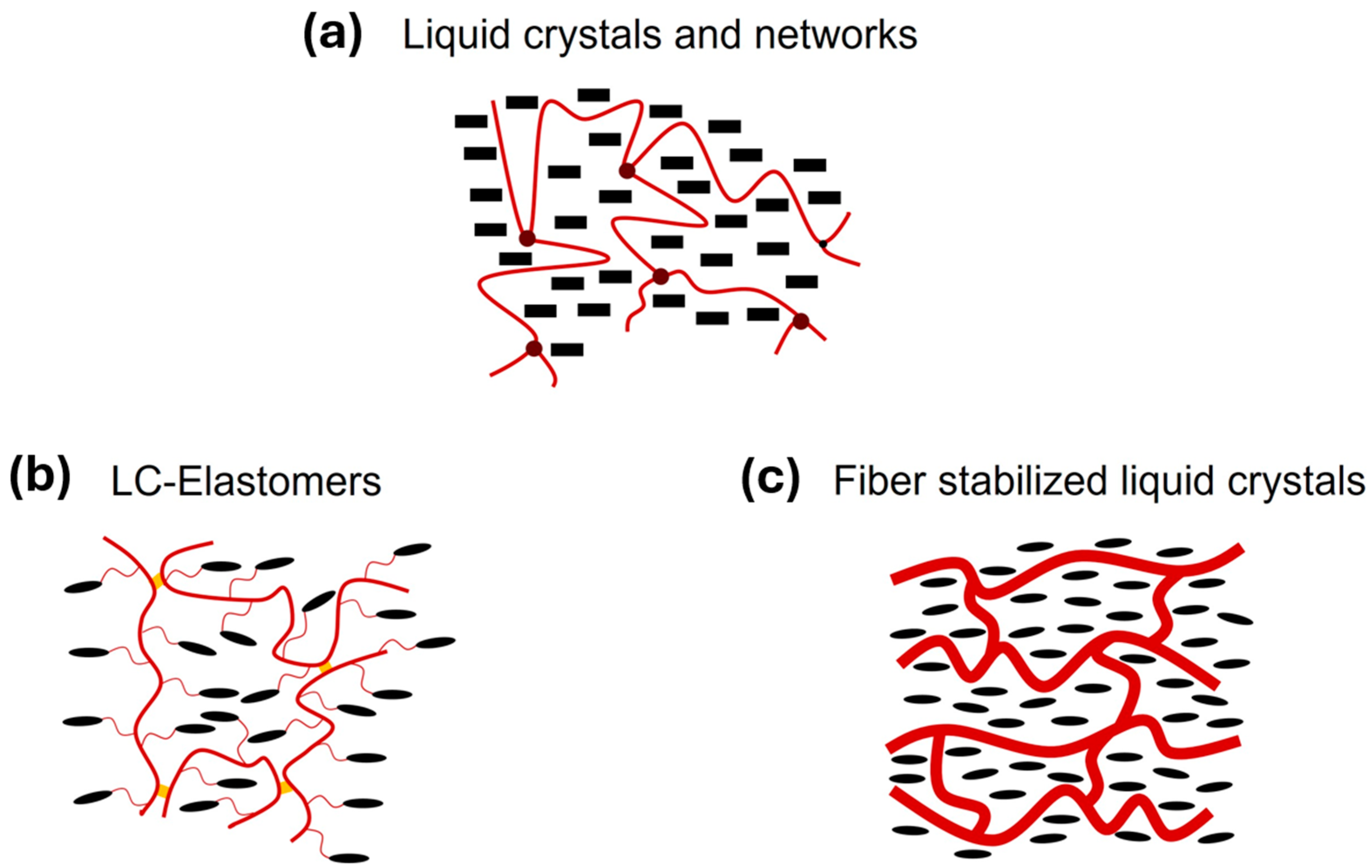 Crystals 14 00466 g002