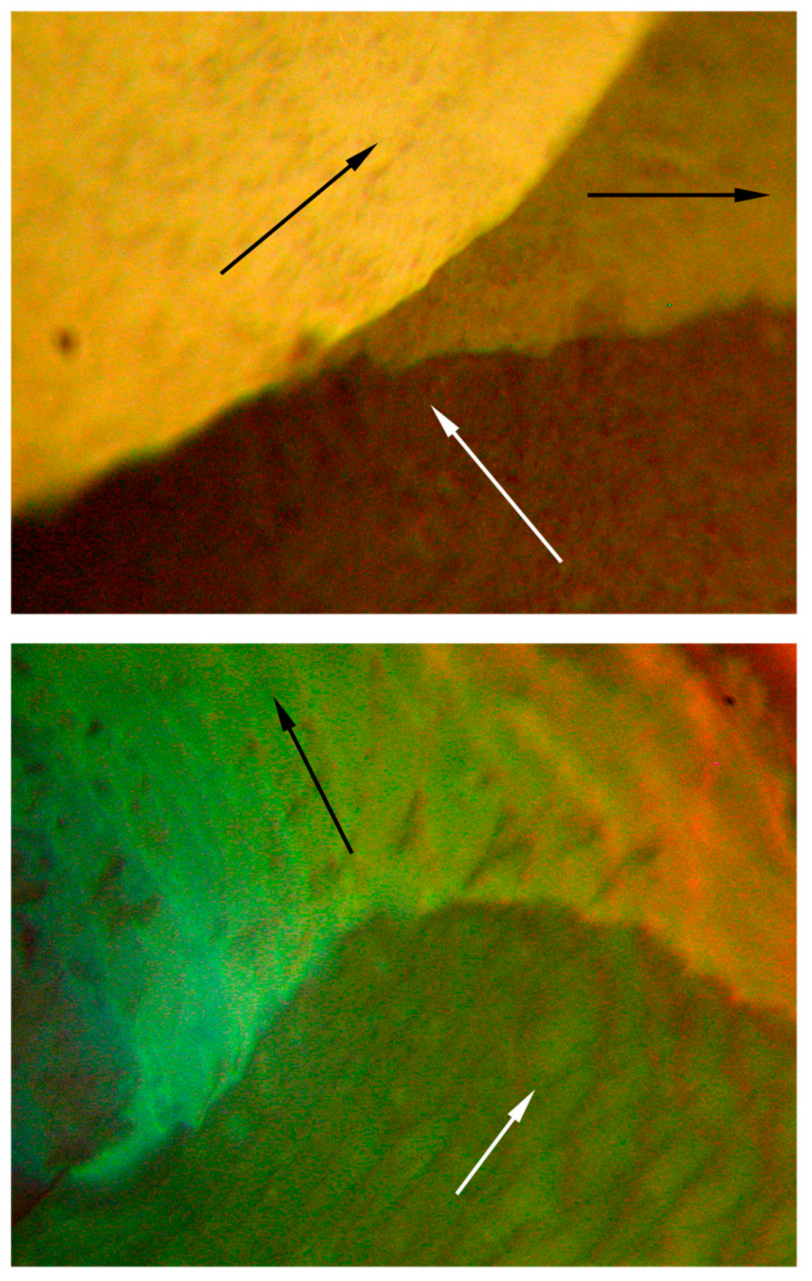 Crystals 14 00466 g006