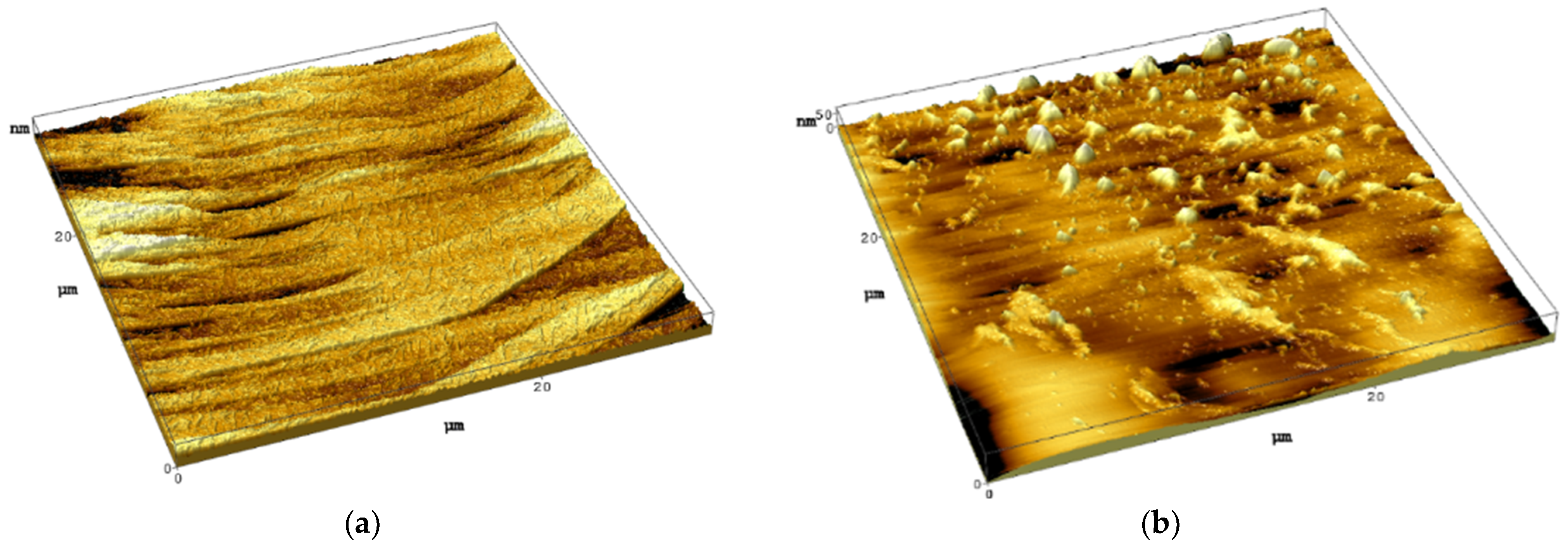 Crystals 14 00480 g006