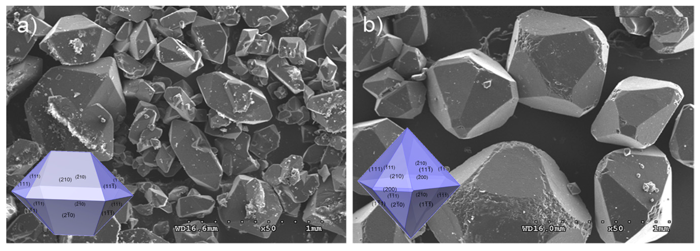 Crystals 14 00484 g002