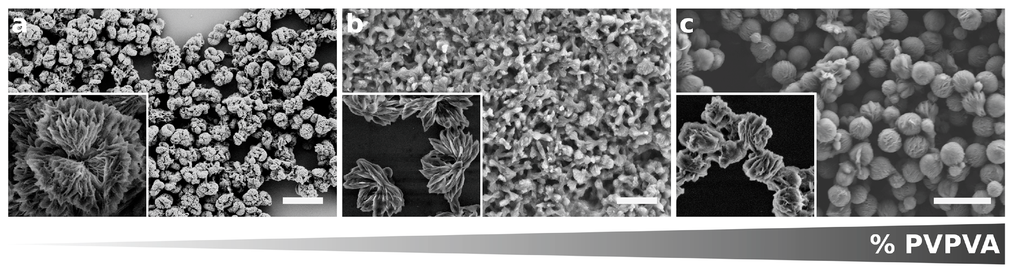 Crystals 14 00484 g005