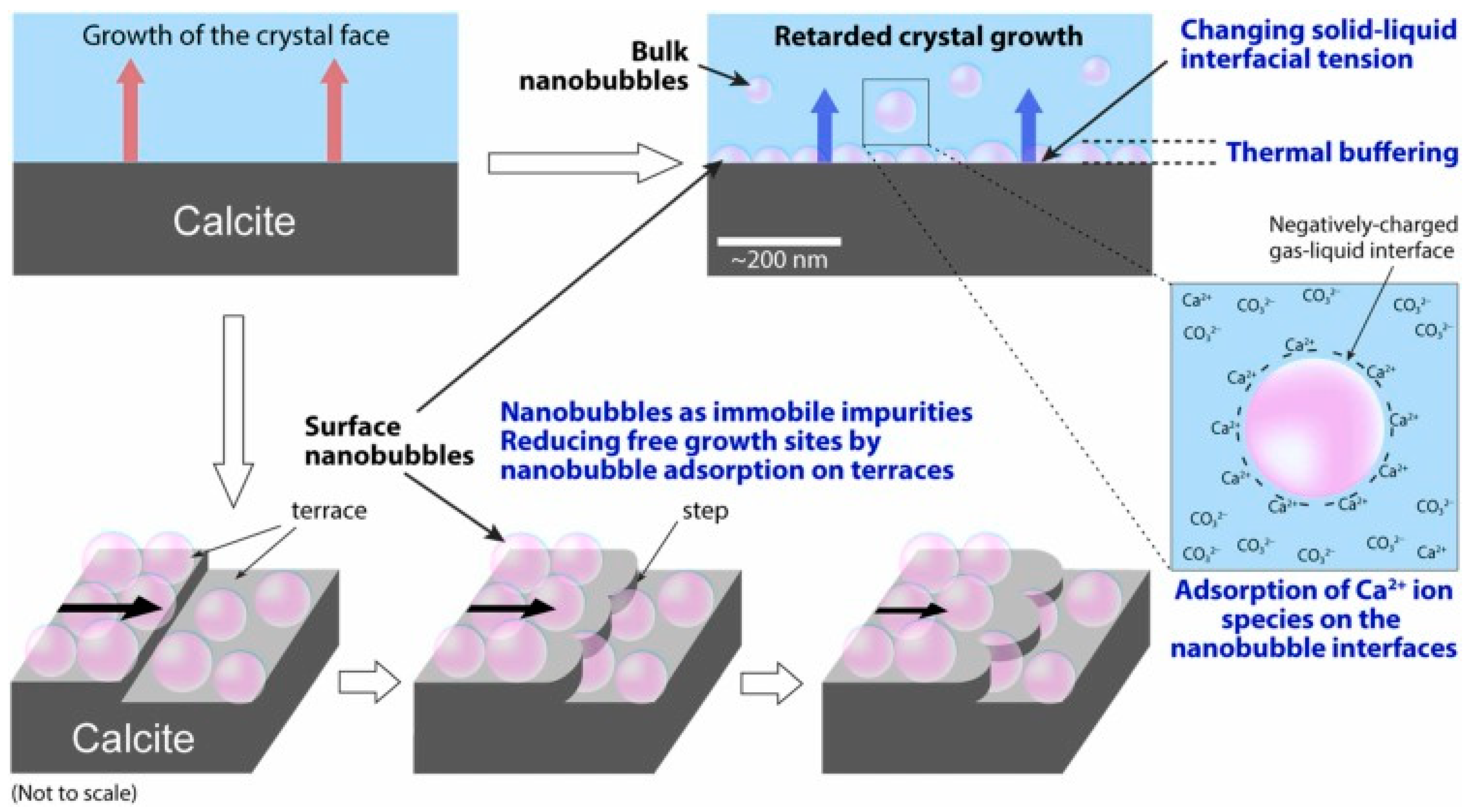 Crystals 14 00484 g006