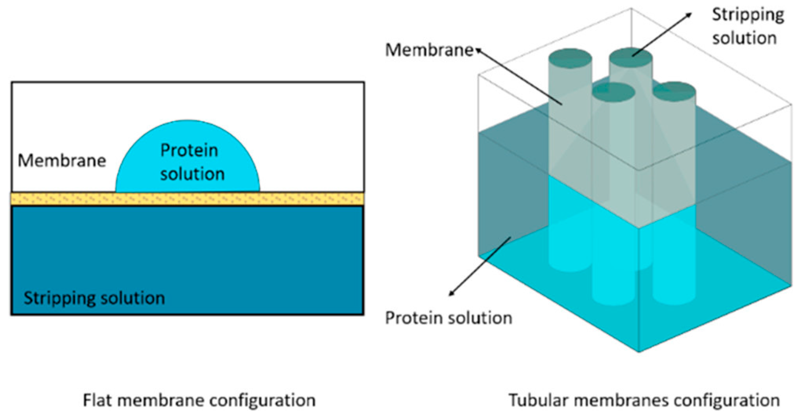 Crystals 14 00484 g010