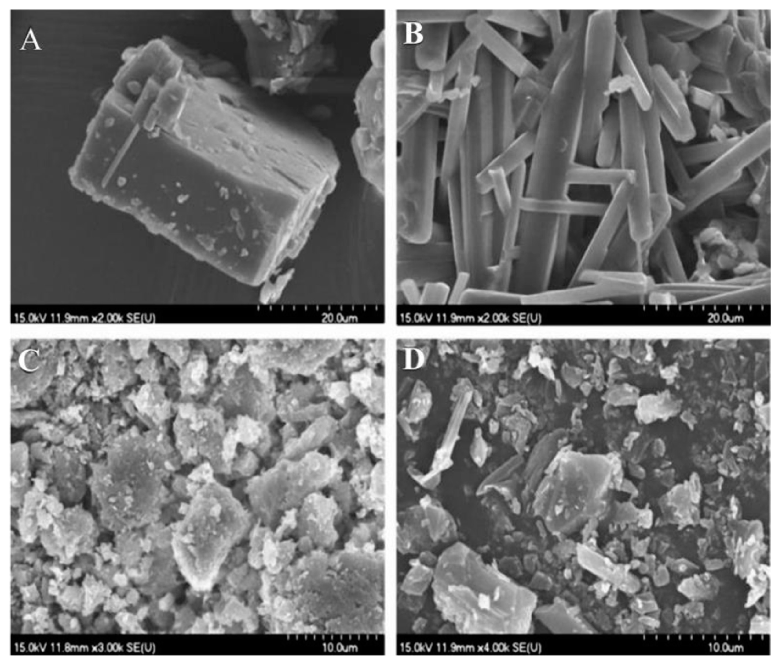 Crystals 14 00484 g014