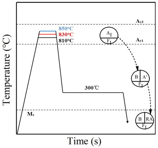 Experimental and Modelling Research on the Effect of Prior