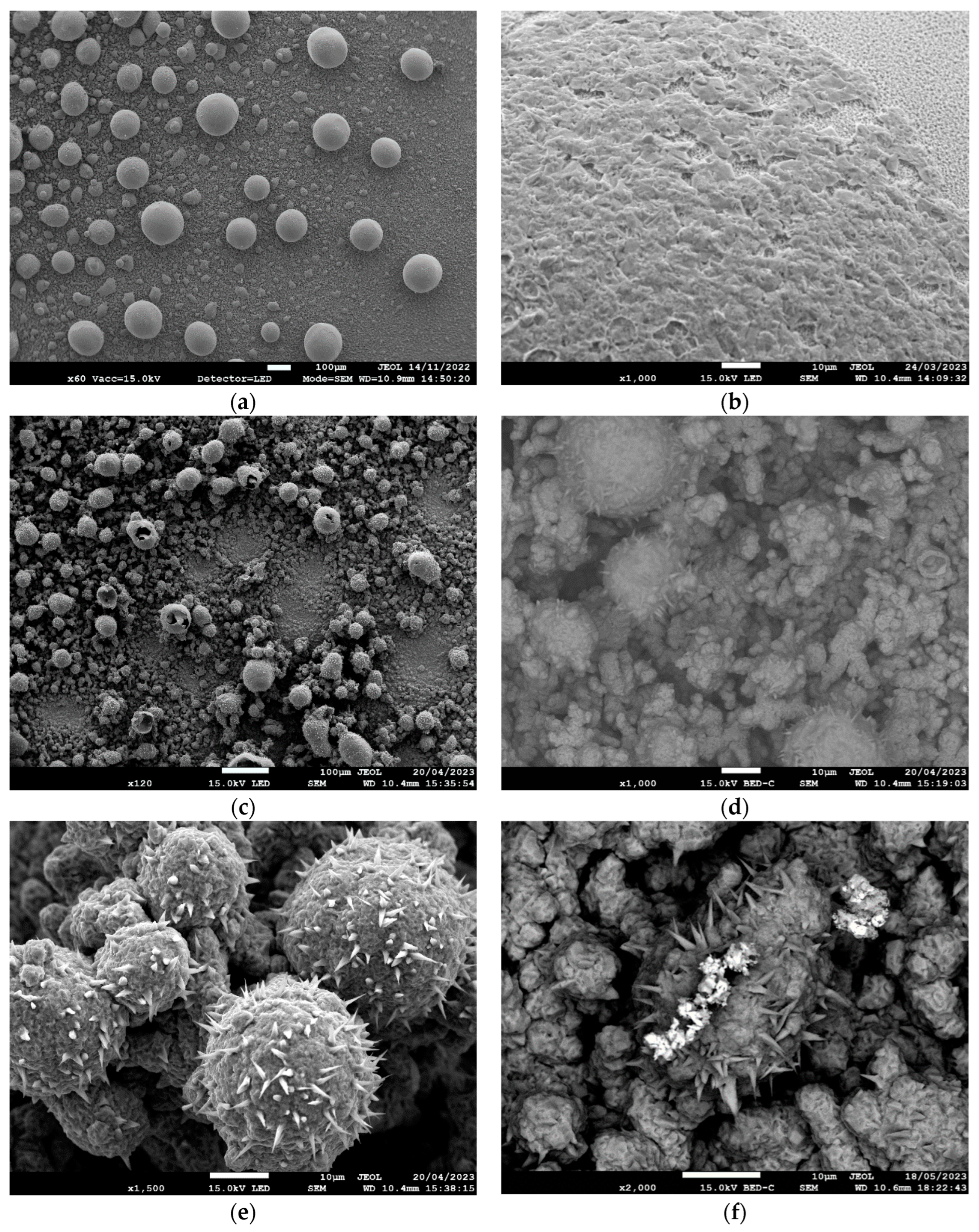 Crystals 14 00491 g004 Crystals 14 00491 g004