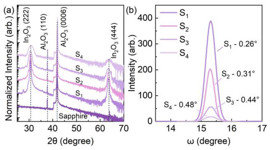 X-ray Activated Nanoprodrug for Visualization of Cortical
